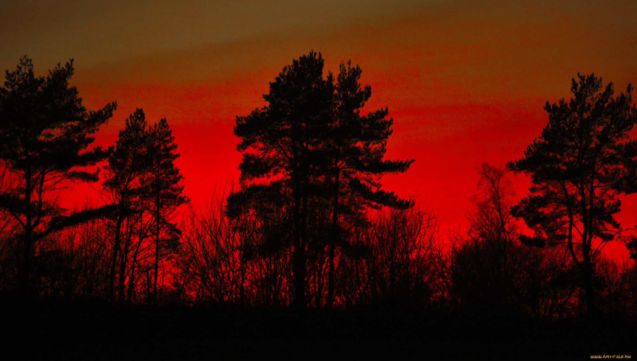 природа, восходы, закаты, рассвет