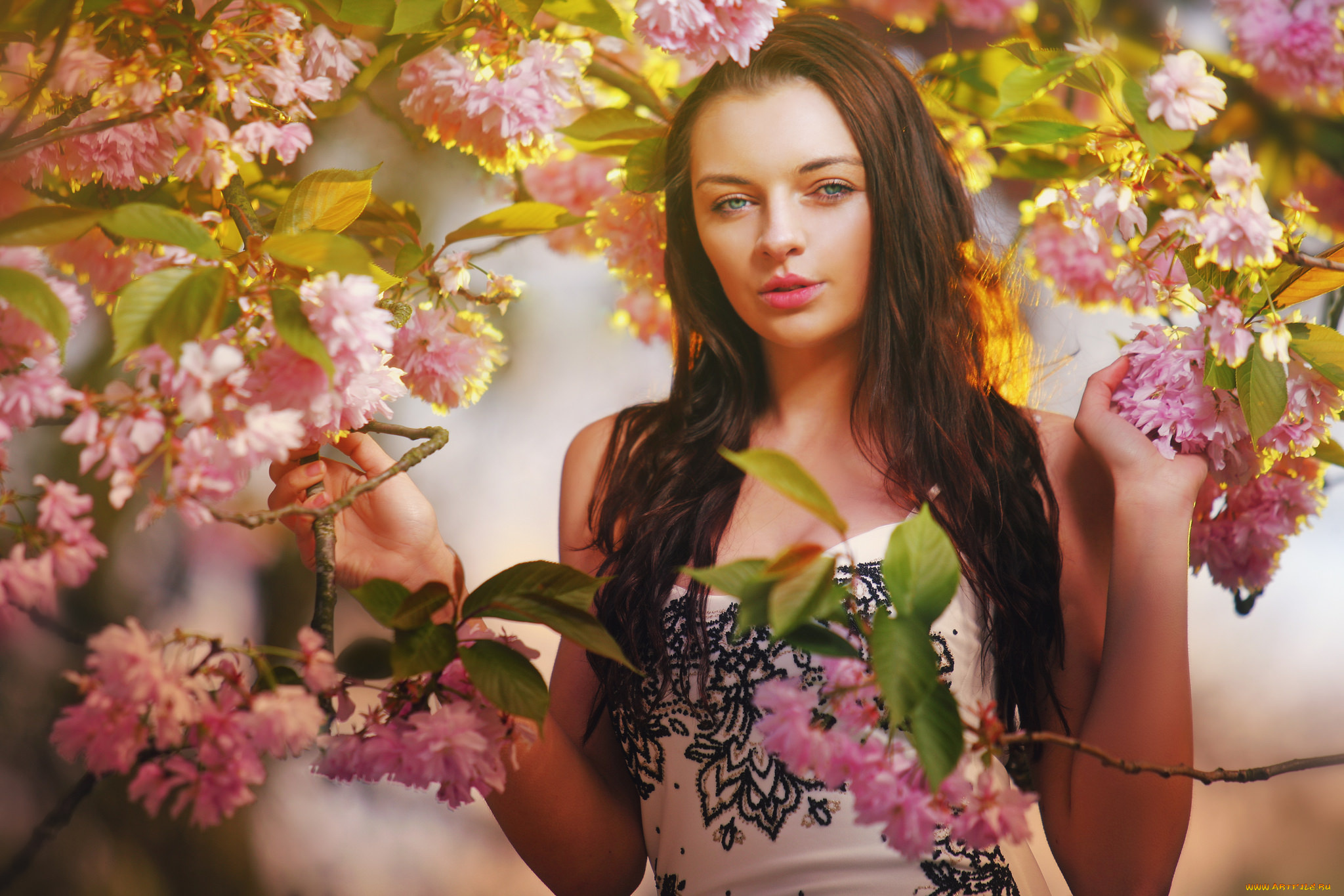 девушки, -unsort, , брюнетки, , шатенки, взгляд, лицо