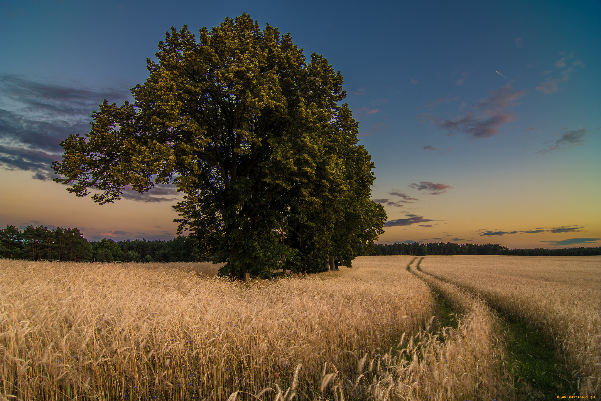 природа, дороги, тракт