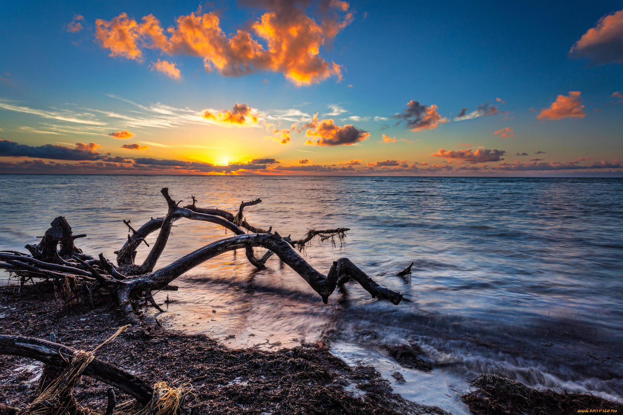 природа, побережье, берег, море