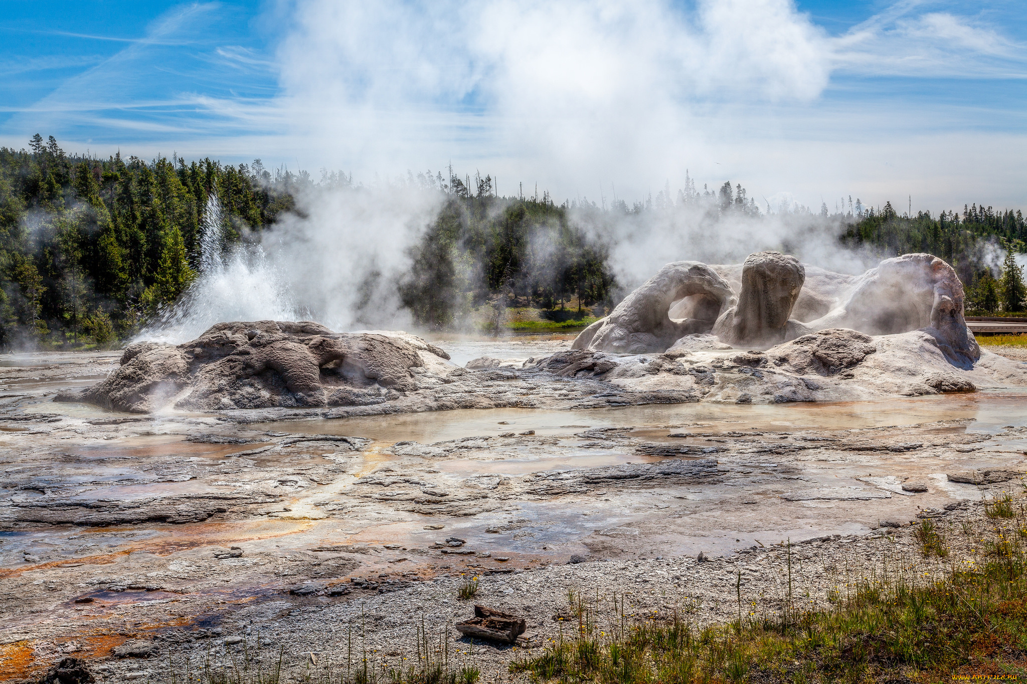 природа, побережье, море, берег