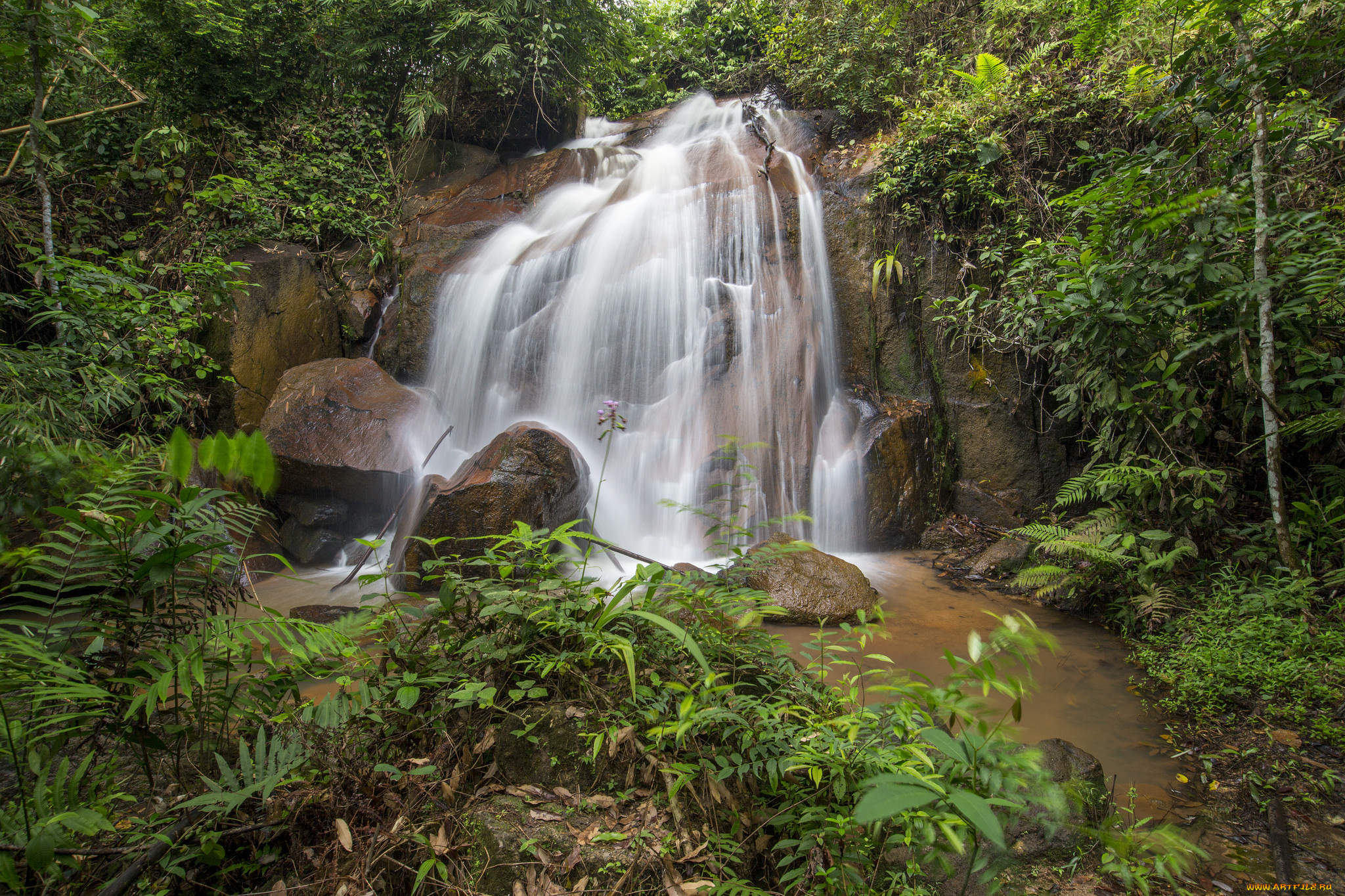 природа, водопады, лес, река, водопад