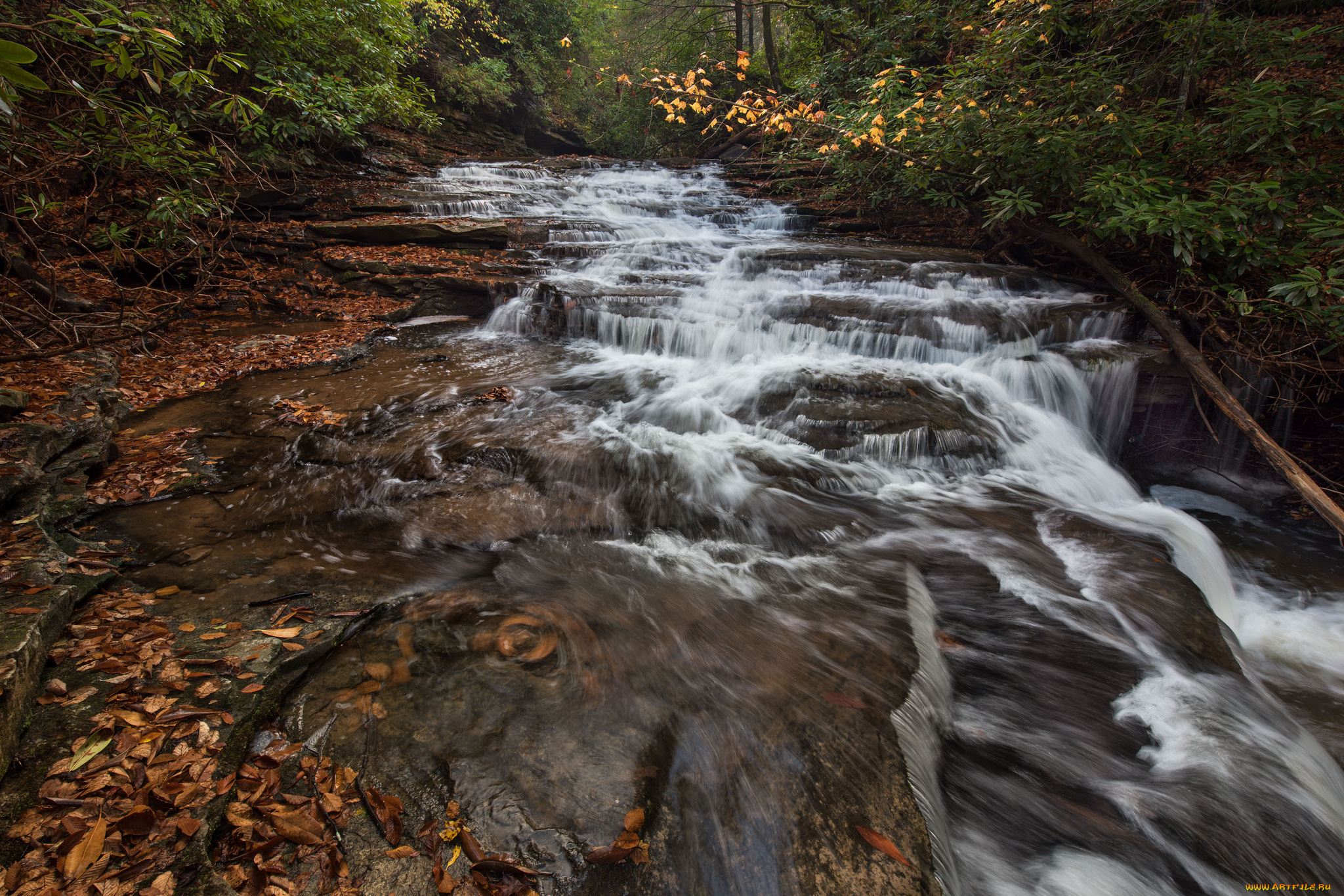 природа, водопады, водопад, лес, река