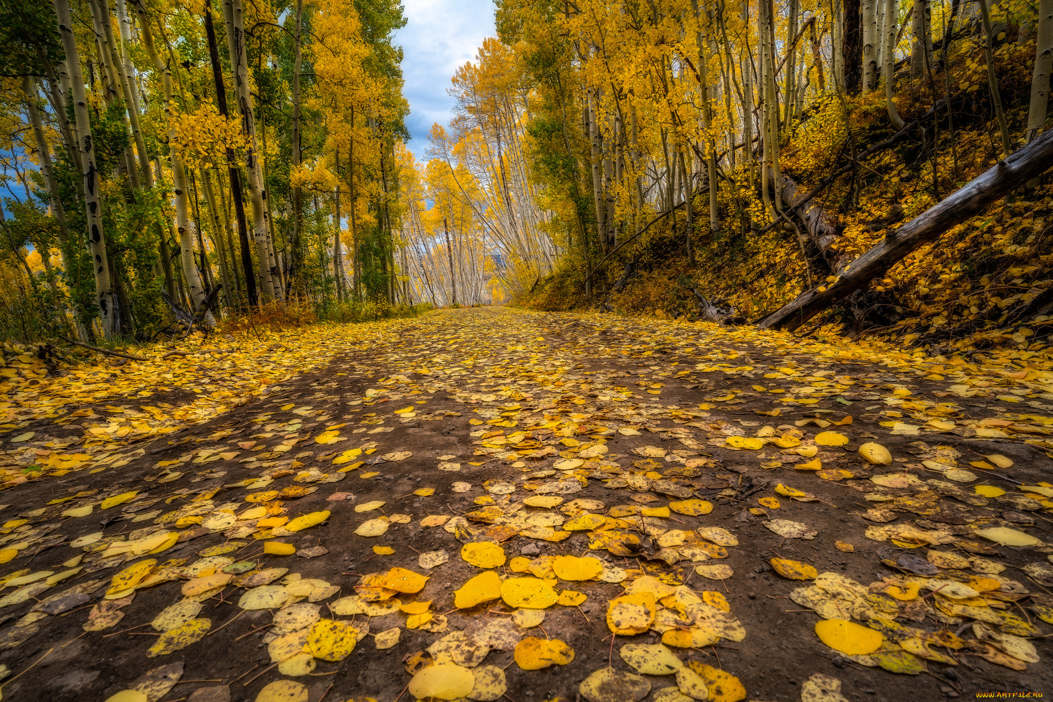 природа, дороги, тракт