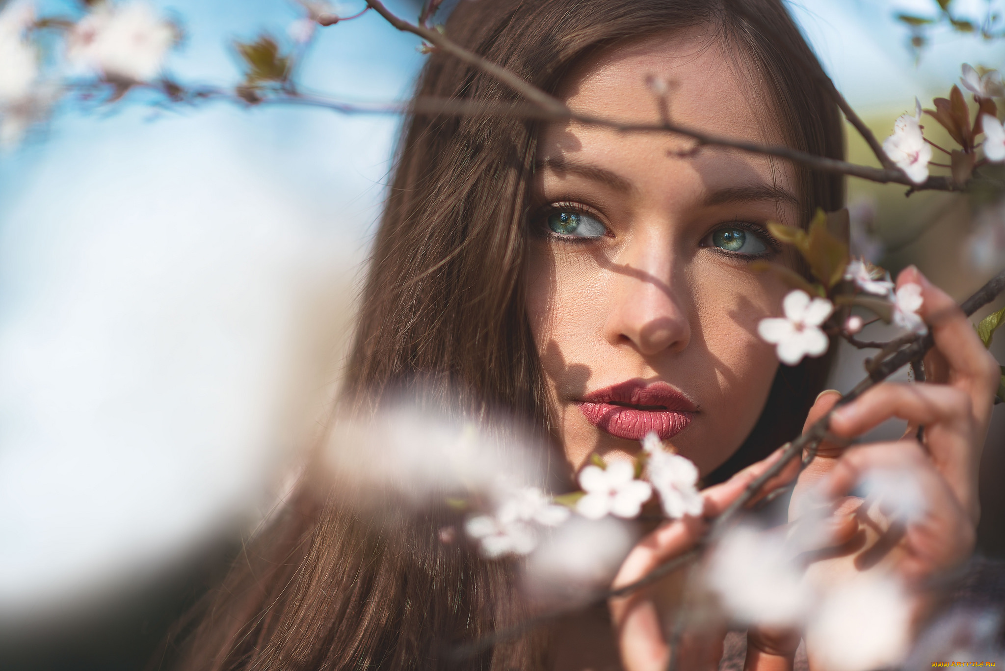 девушки, -unsort, , лица, , портреты, лицо, взгляд