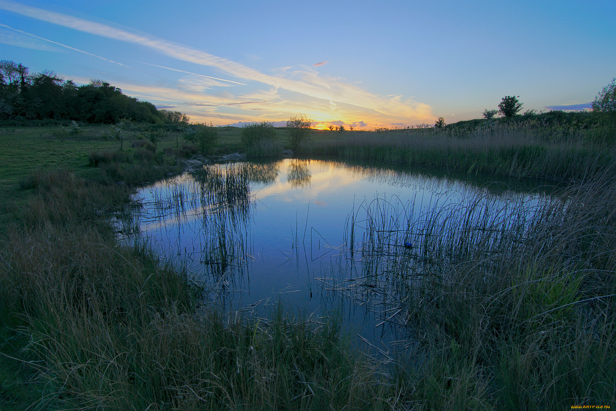 природа, реки, озера, река, лес