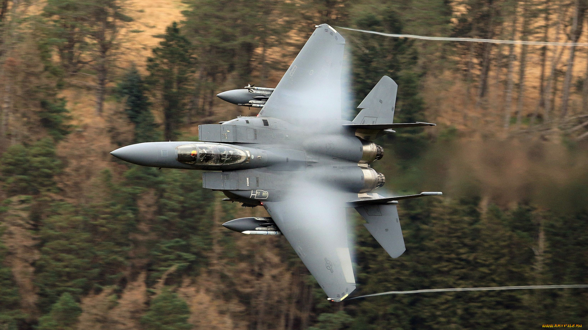 авиация, боевые, самолёты, ввс