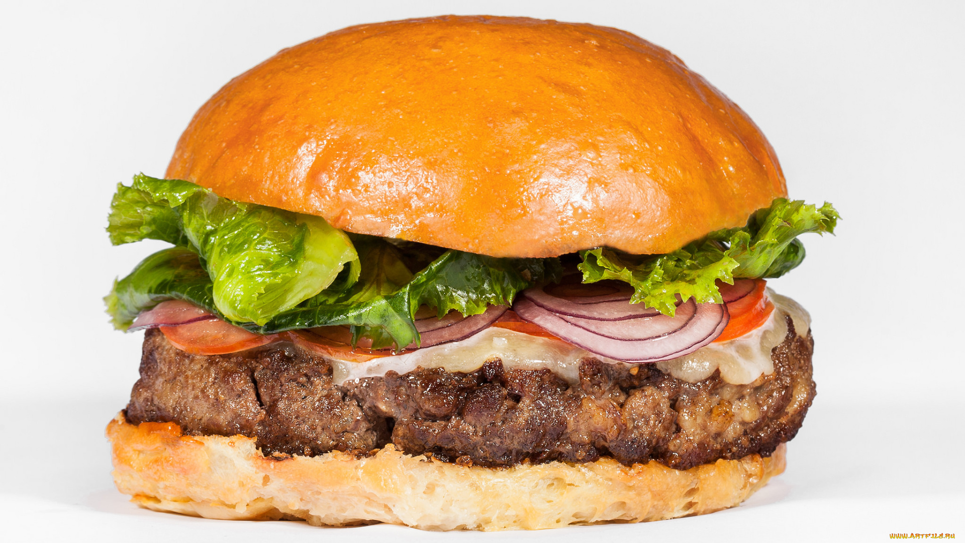 еда, бутерброды, , гамбургеры, , канапе, снедь