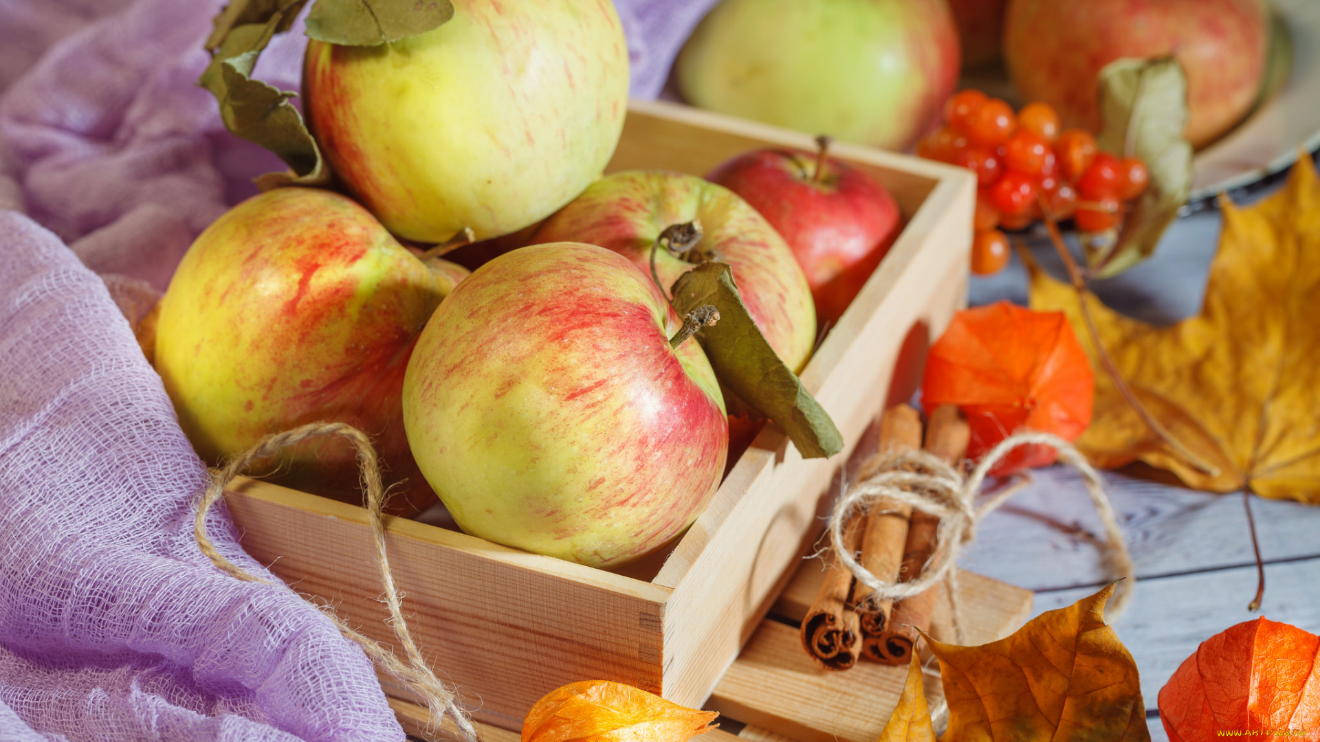 еда, Яблоки, снедь