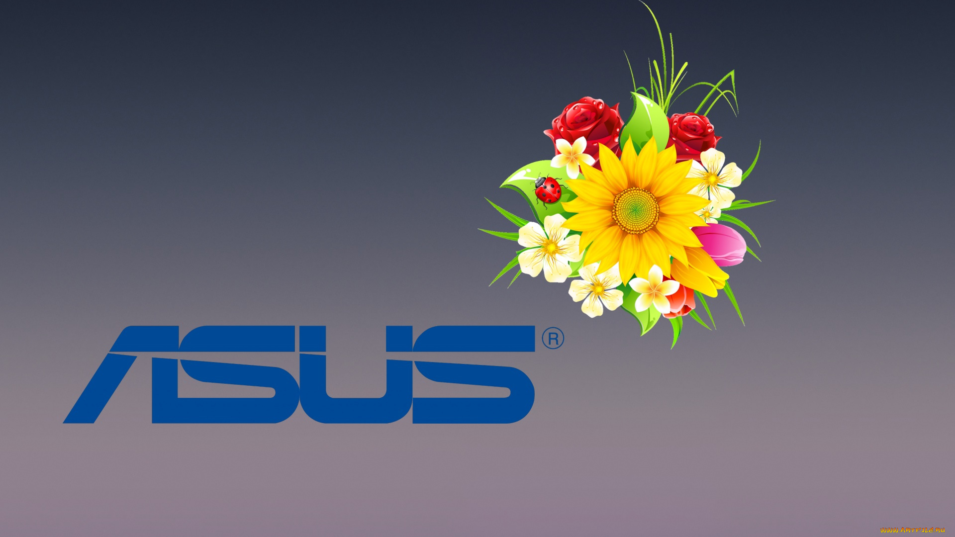 компьютеры, asus, фон, цветы, логотип
