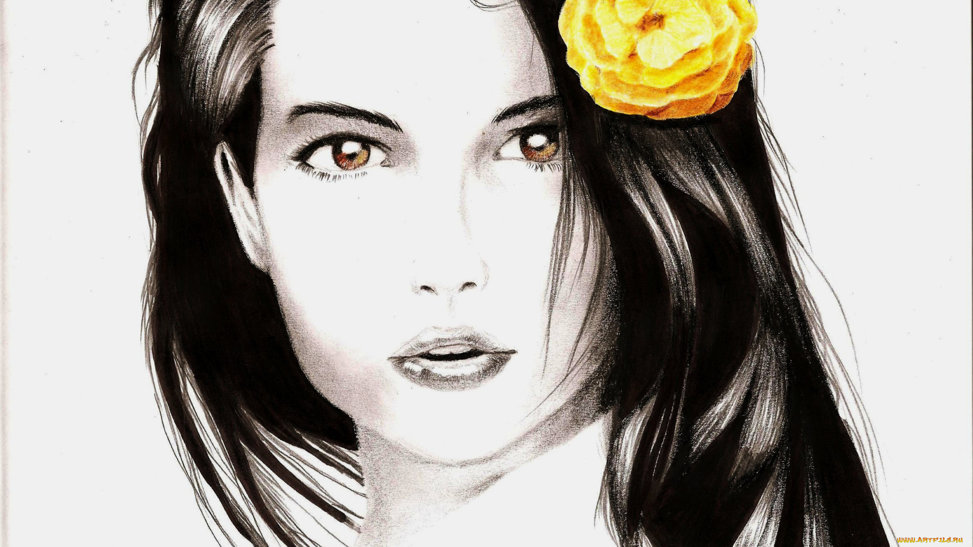 рисованное, люди, девушка, фон, взгляд, роза