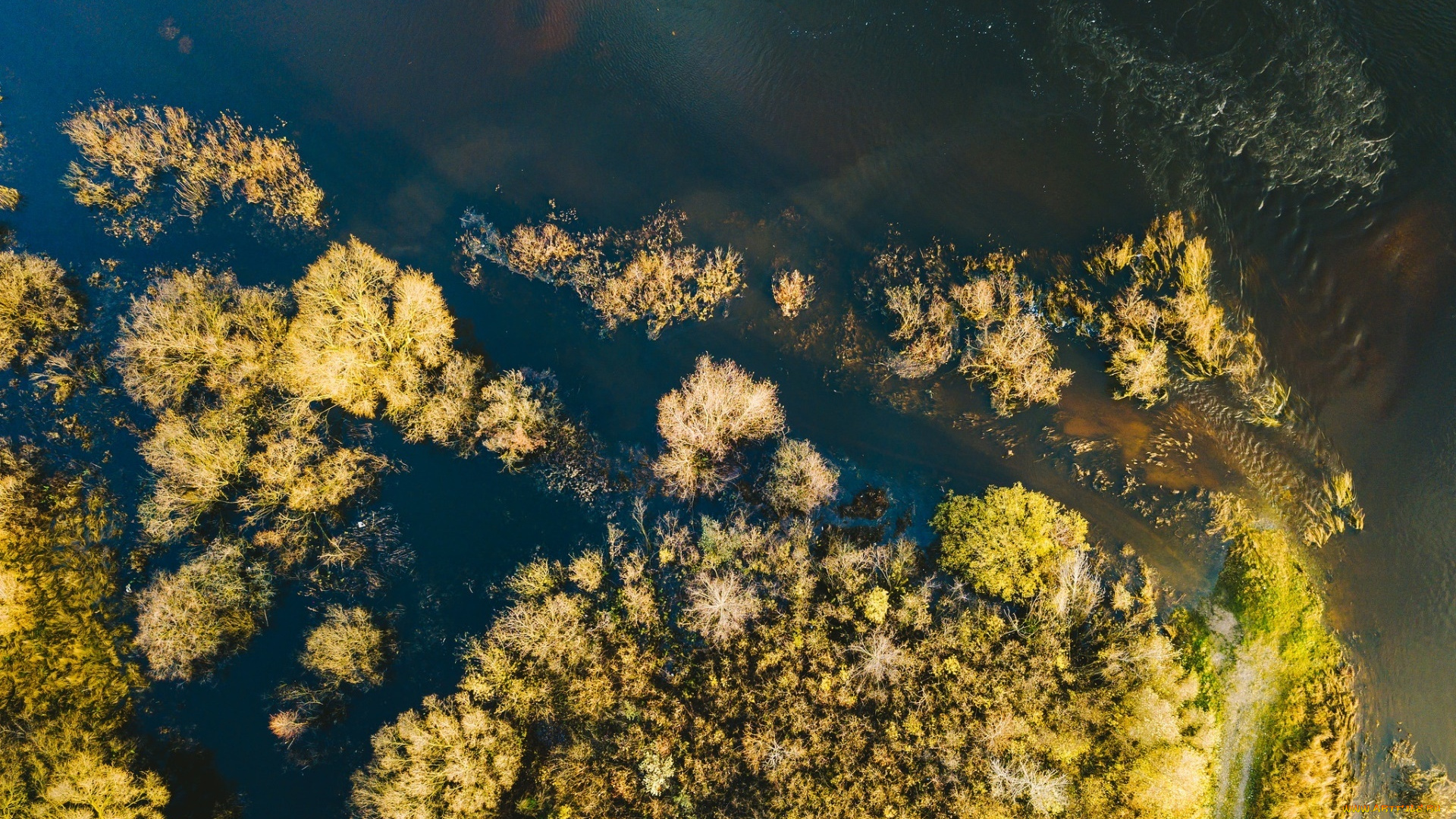 с, высоты, птичьего, полета, природа, реки, озера, вид, сверху, берег, деревья, река