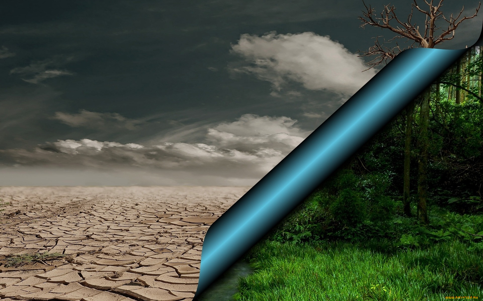 разное, компьютерный, дизайн, два, мира