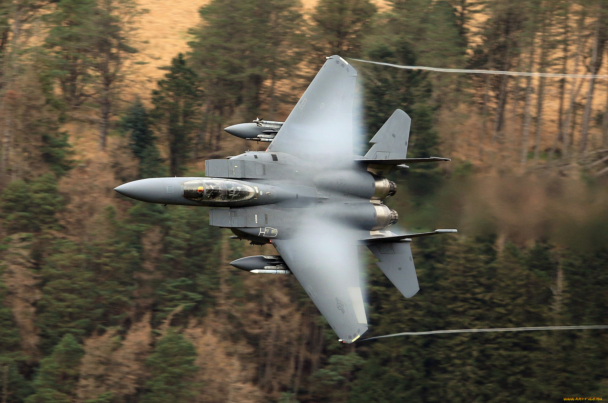 авиация, боевые, самолёты, ввс