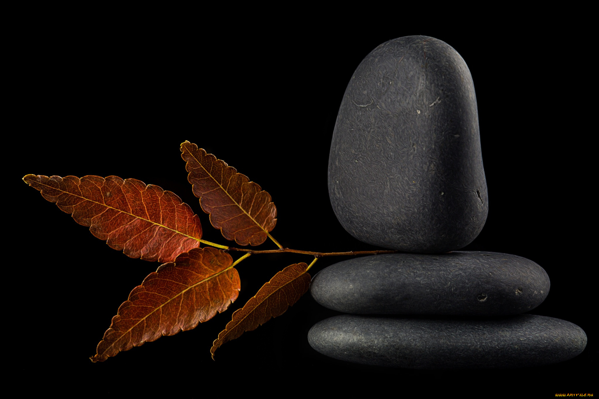 природа, камни, , минералы, листок, отражение