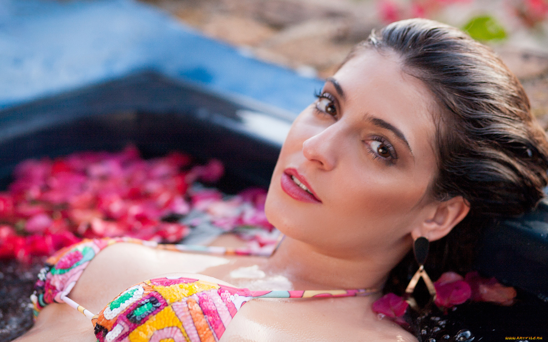 девушки, alana, alexandrino, alana, alexandrino