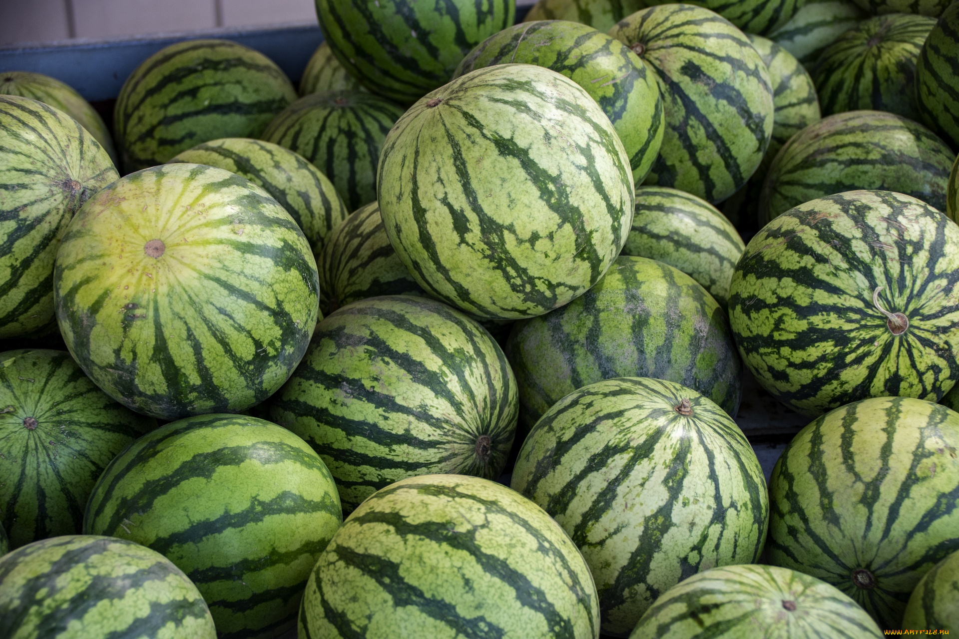 еда, арбуз, спелые, арбузы, много