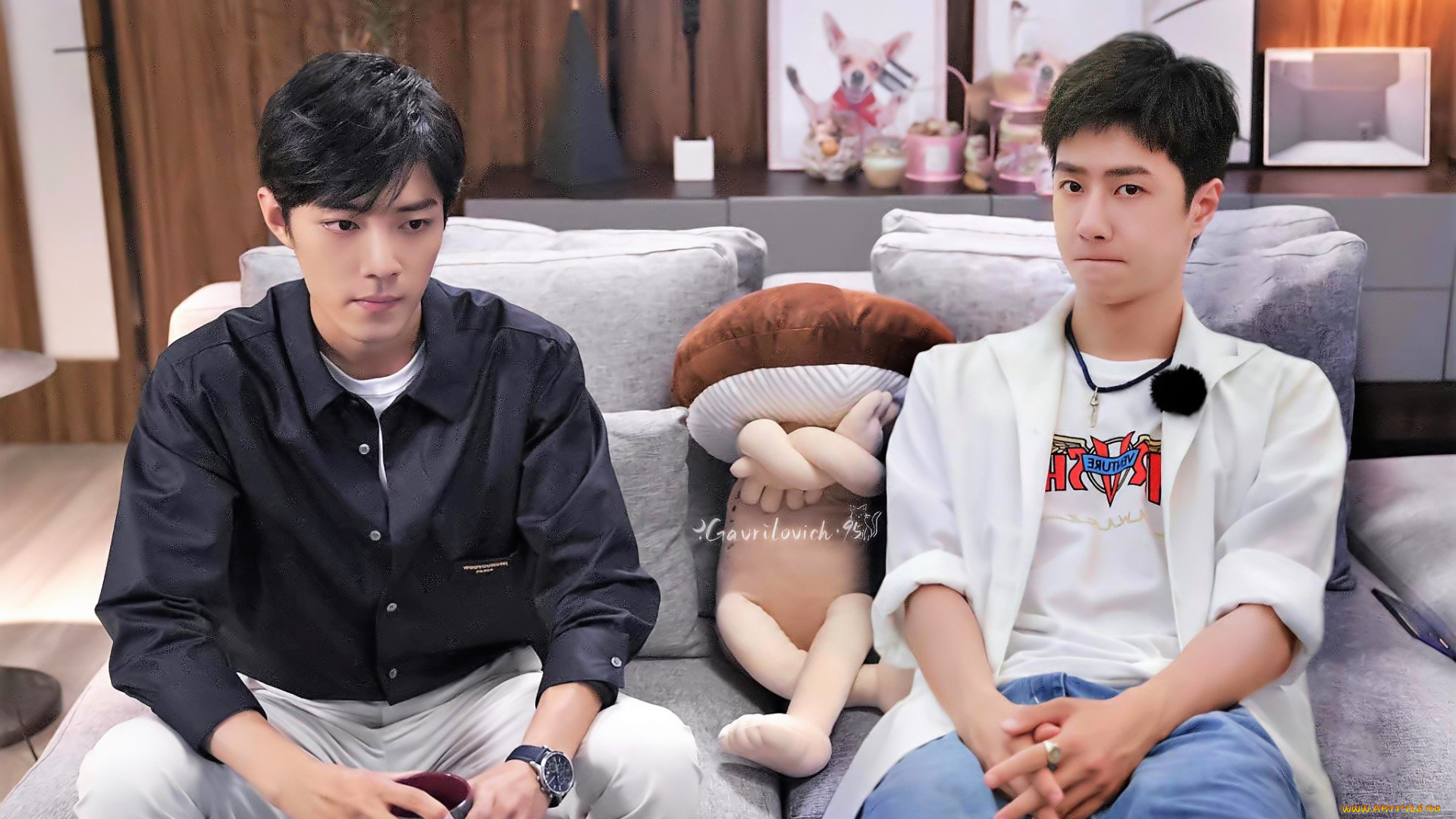 разное, знаменитости, ван, ибо, сяо, чжань, диван