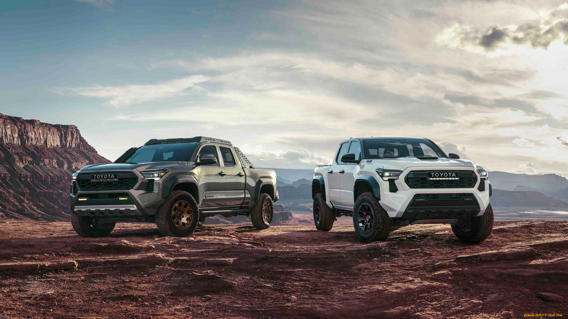 автомобили, toyota, tacoma, trd, pro, 2024, автомобиль, транспорт, средство, передвижения