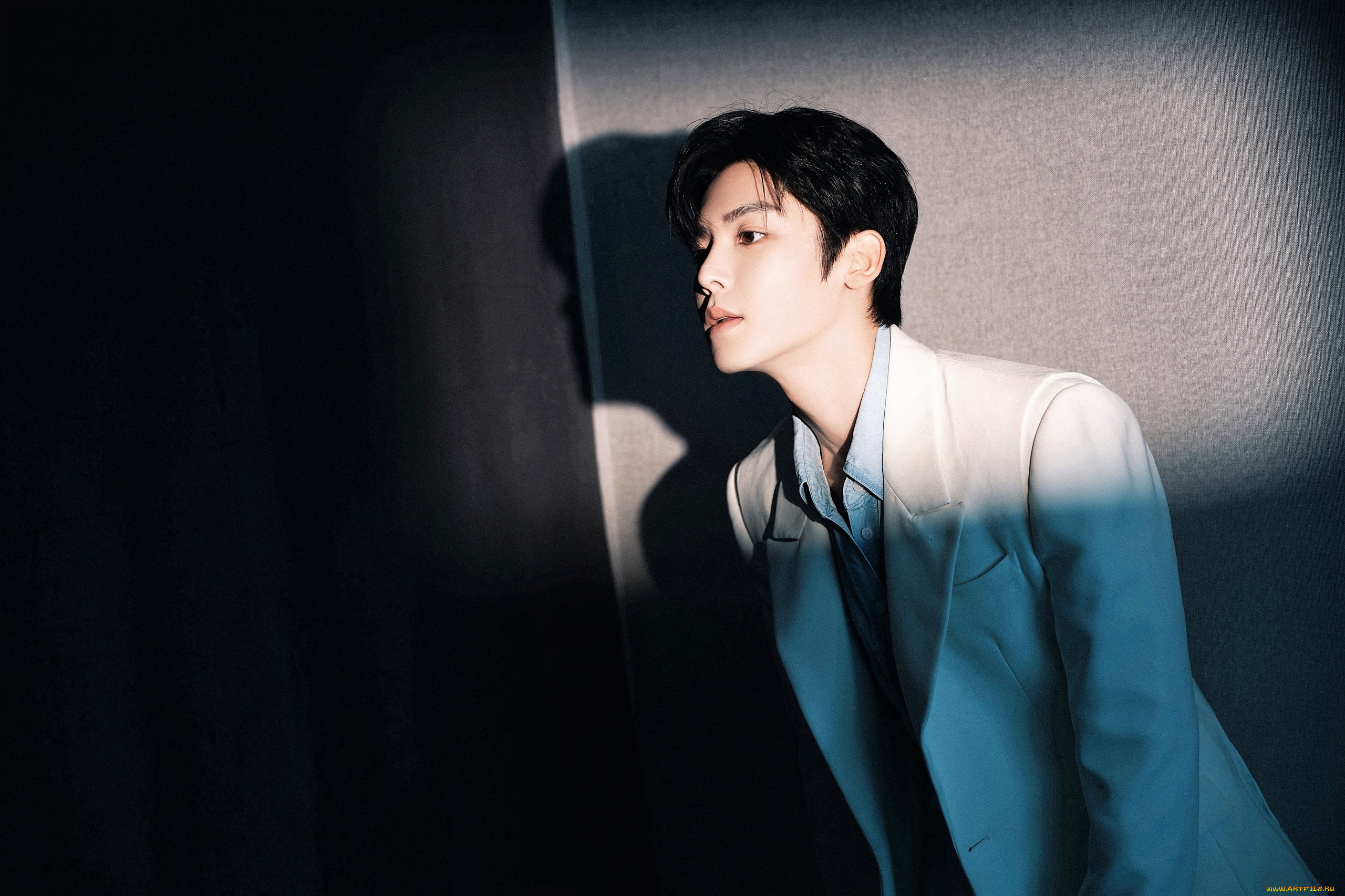 мужчины, hou, ming, hao, актер, пиджак, стена, тень