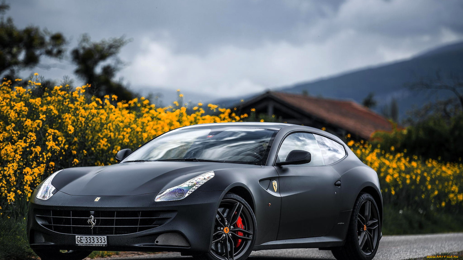 ferrari, ff, автомобили, ferrari, серый, дорожка, цветы, дом