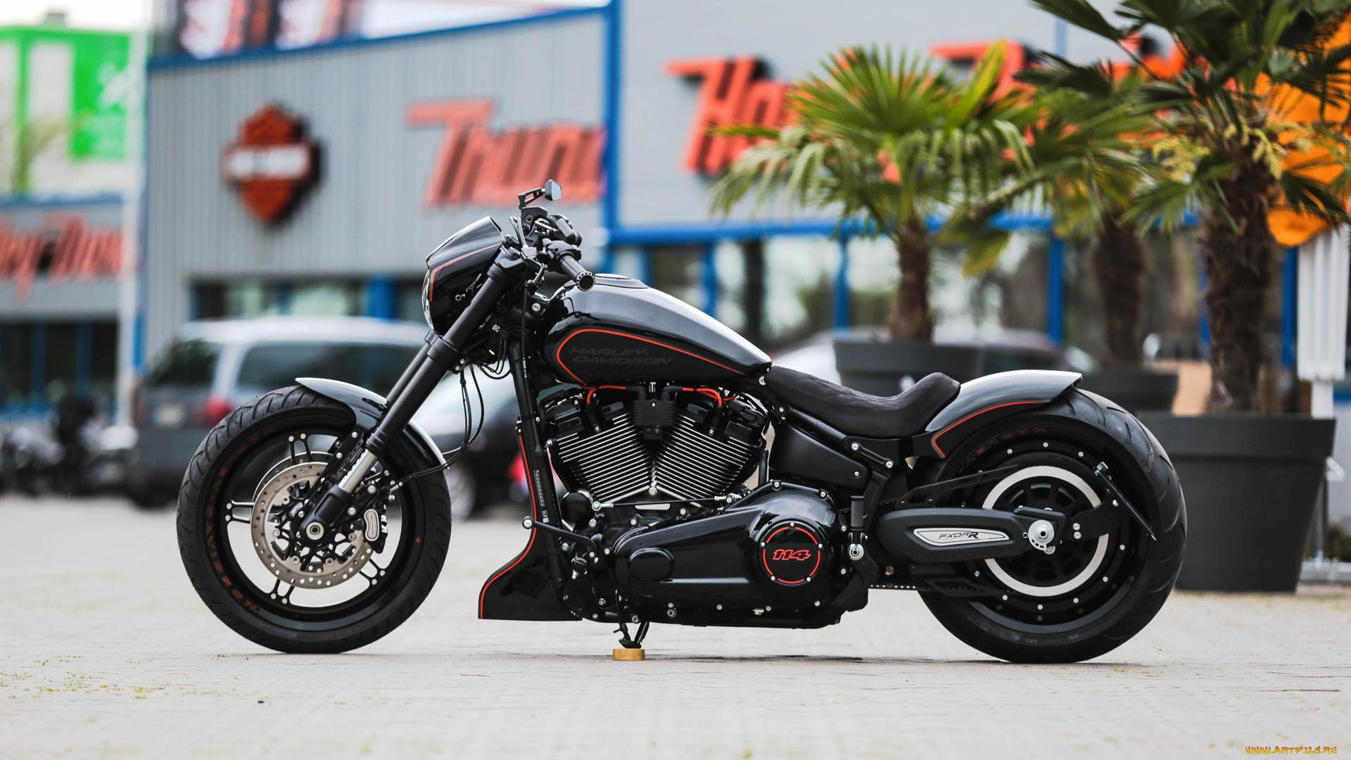 харлей, мотоциклы, harley-davidson, мотоцикл, байк