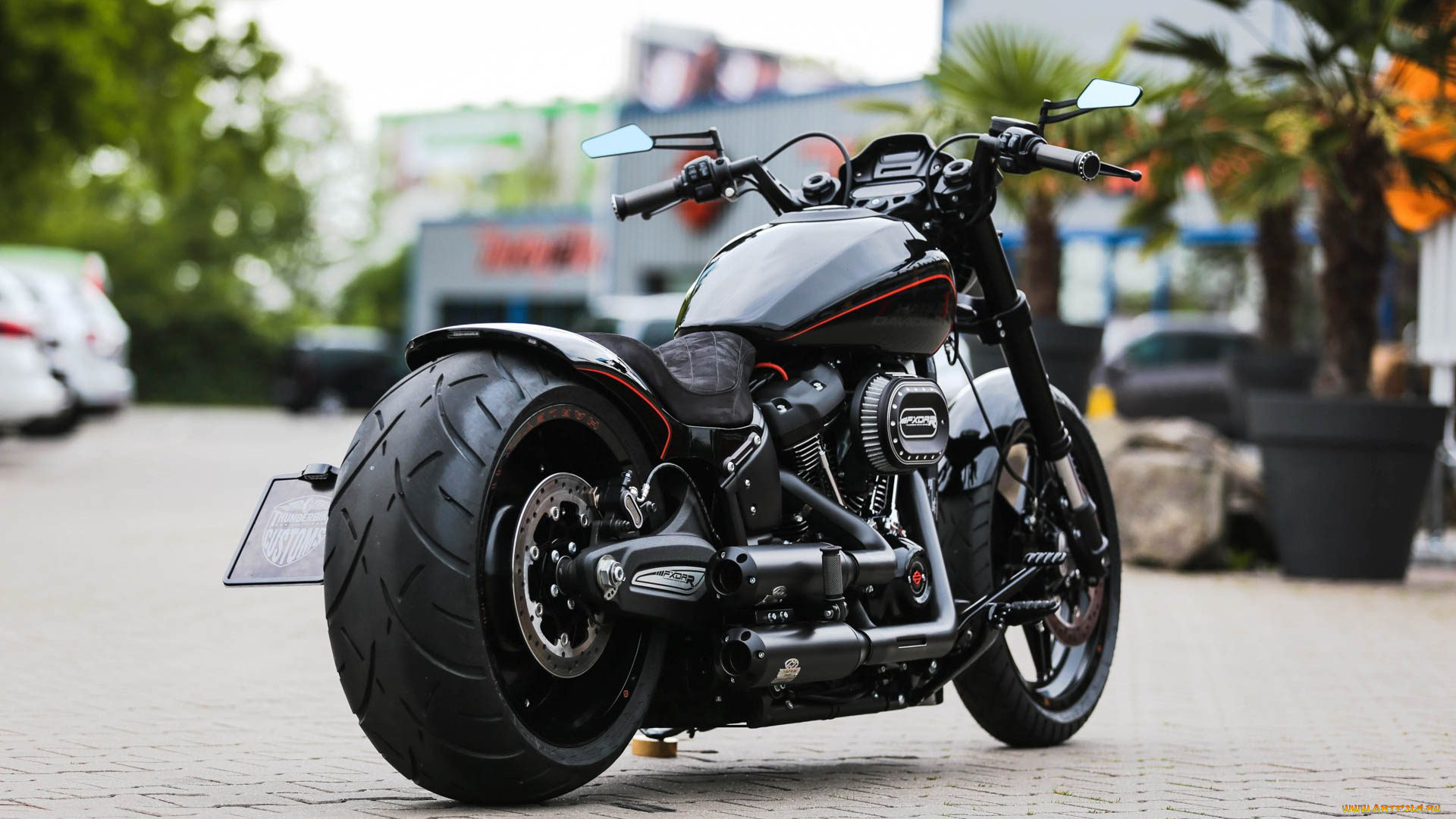 харлей, мотоциклы, harley-davidson, мотоцикл, байк