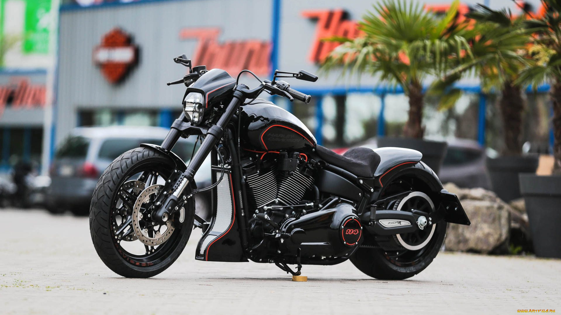 харлей, мотоциклы, harley-davidson, мотоцикл, байк