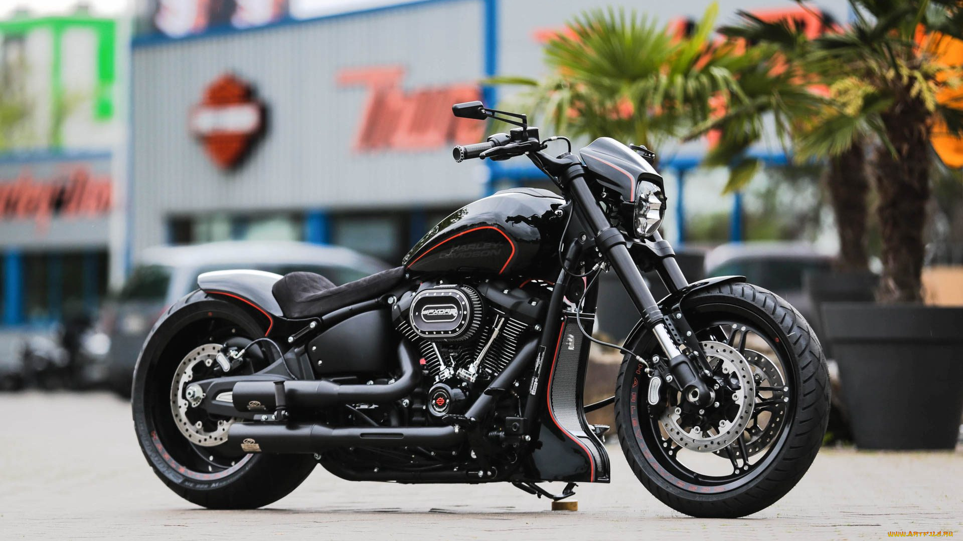 харлей, мотоциклы, harley-davidson, мотоцикл, байк