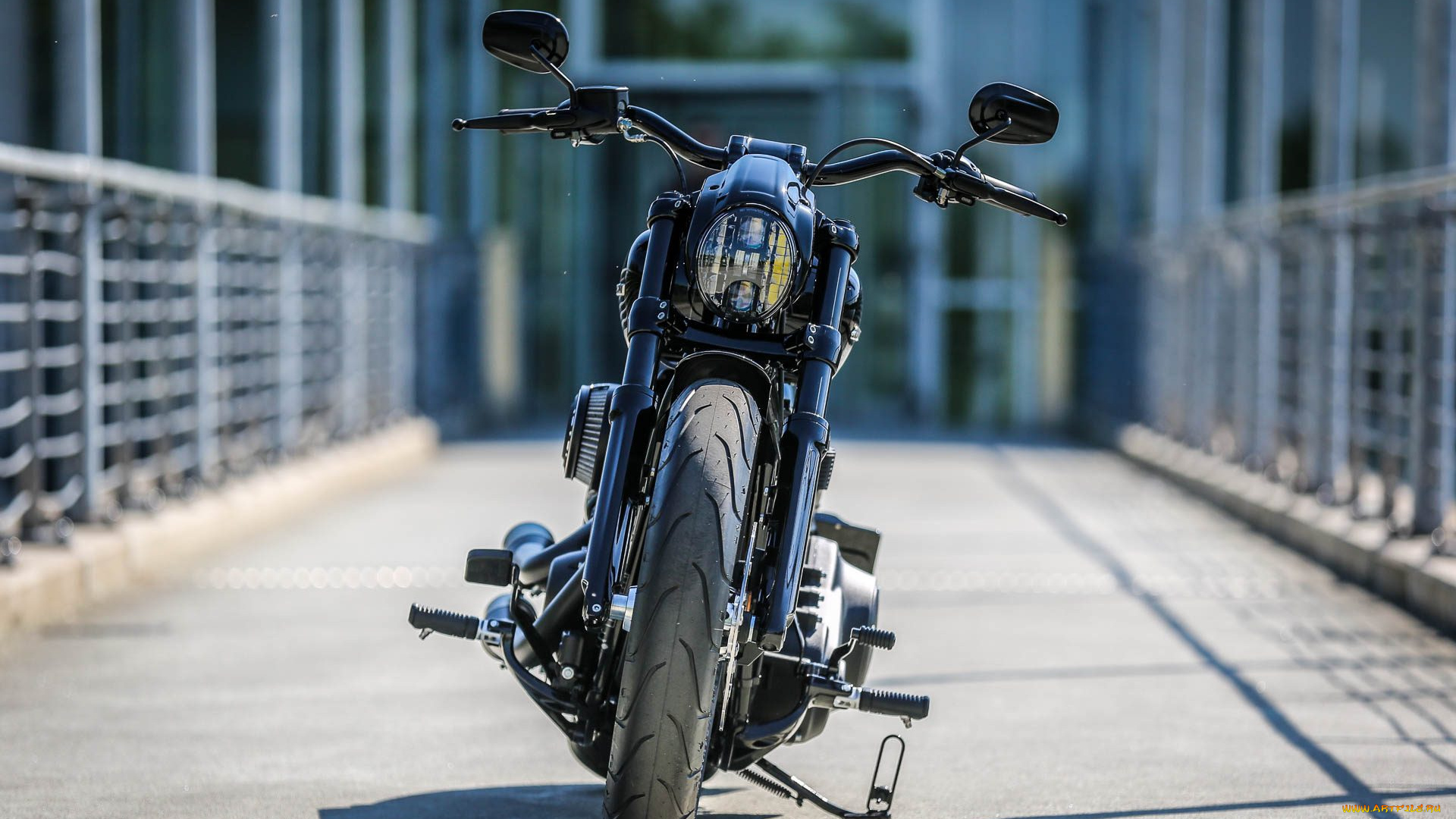 harley, мотоциклы, harley-davidson, мотоцикл, байк