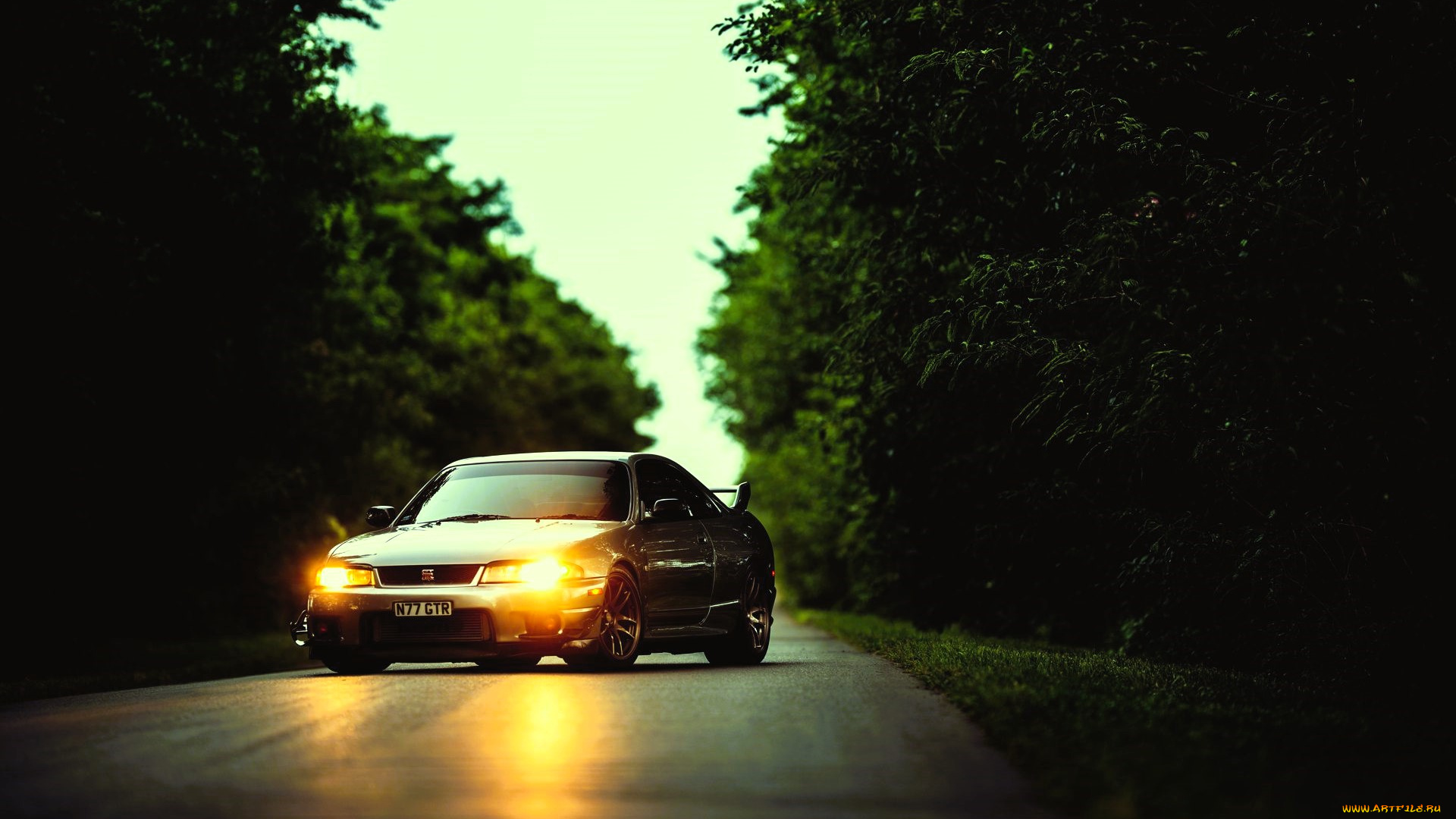 nissan, silvia, автомобили, nissan, datsun, светлый, дорога, деревья