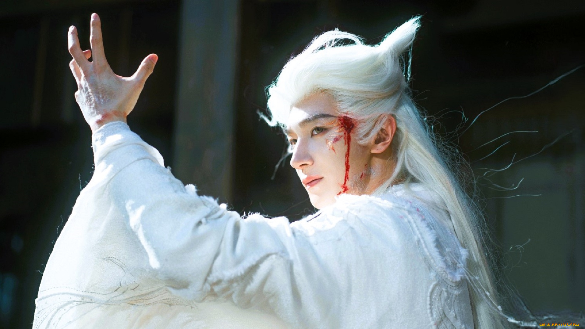 veil, of, shadows, кино, фильмы, парень, магия, кровь