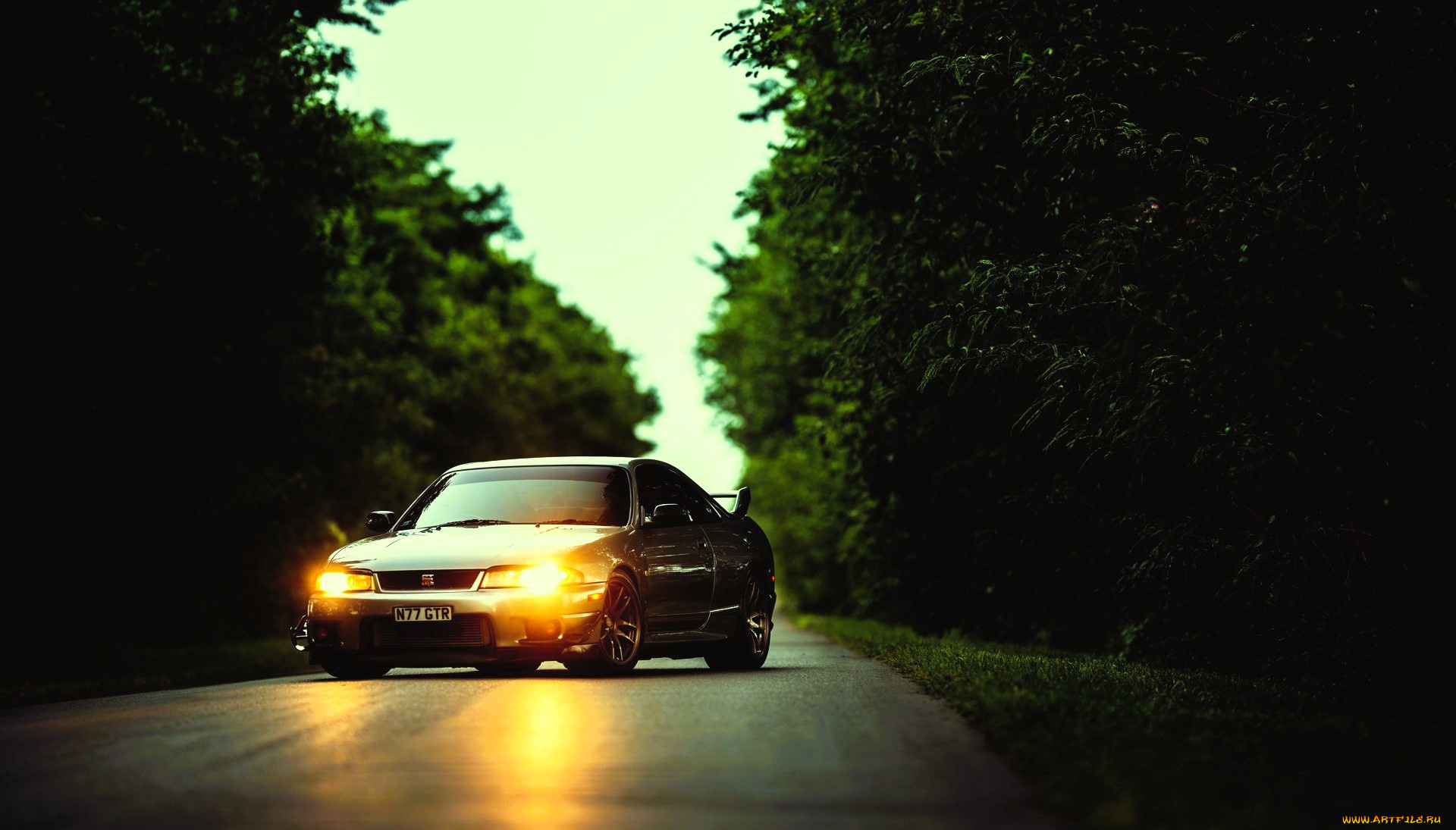 nissan, silvia, автомобили, nissan, datsun, светлый, дорога, деревья