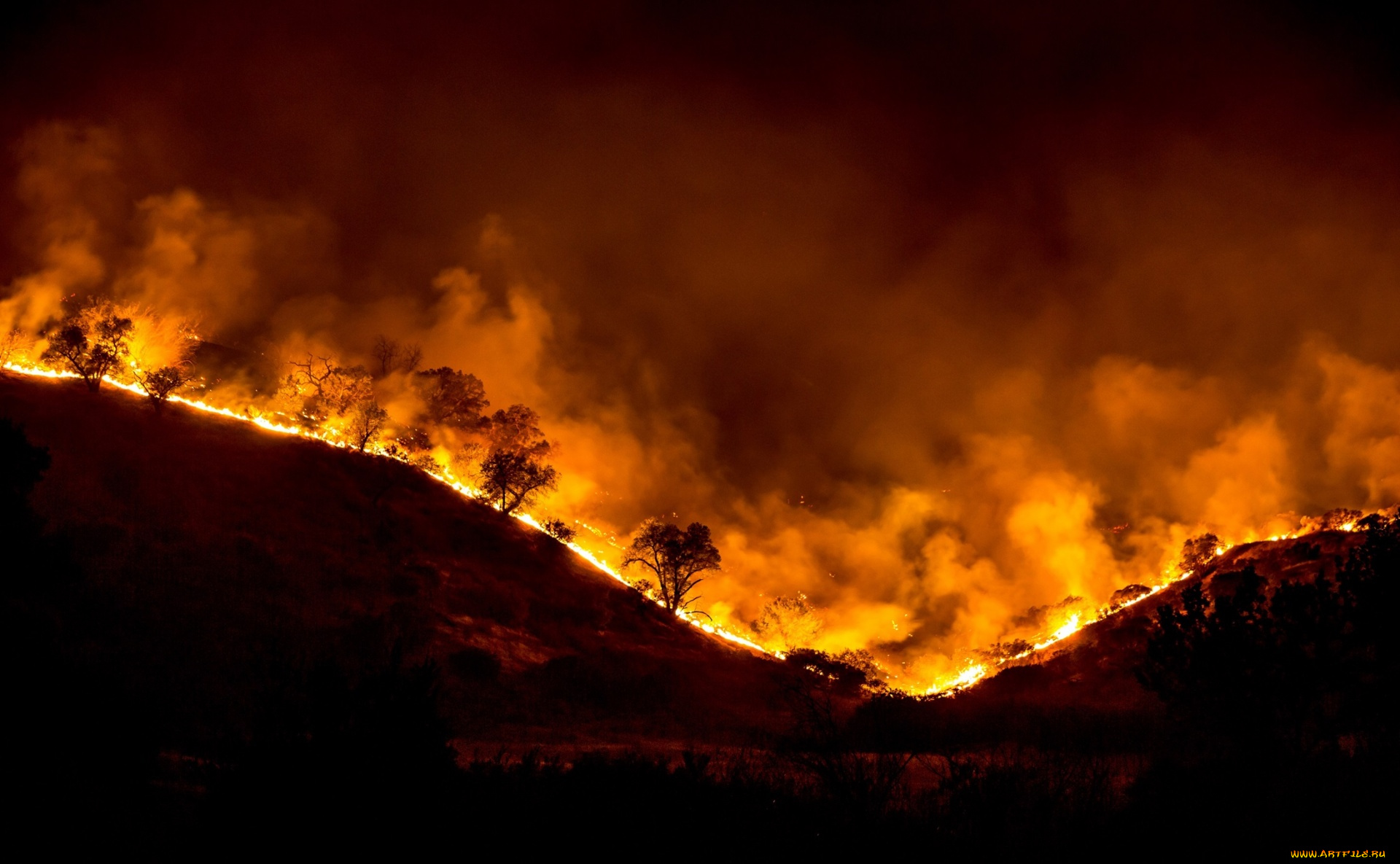 природа, огонь, горящие, деревья, дым, пожар