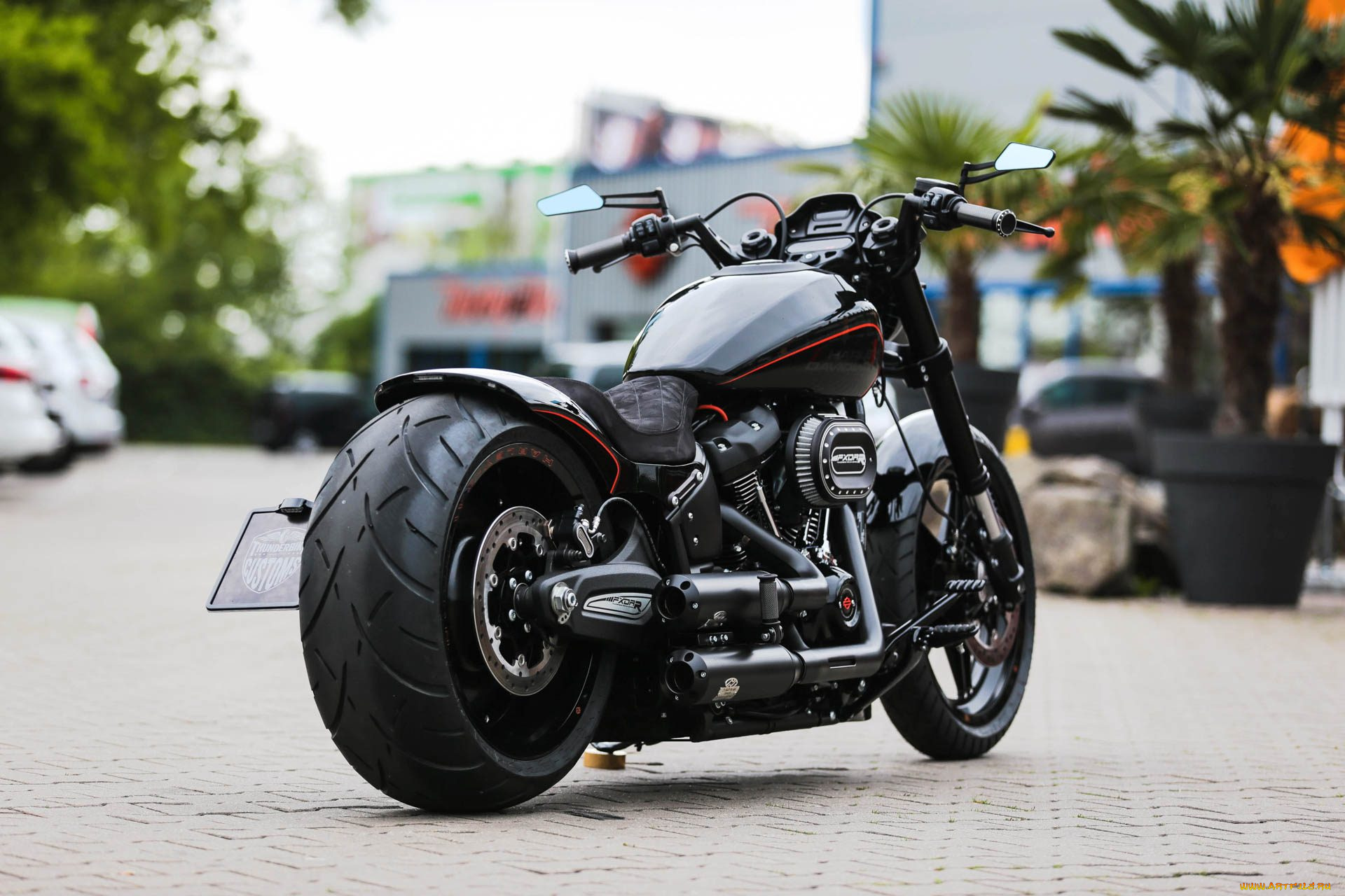 харлей, мотоциклы, harley-davidson, мотоцикл, байк