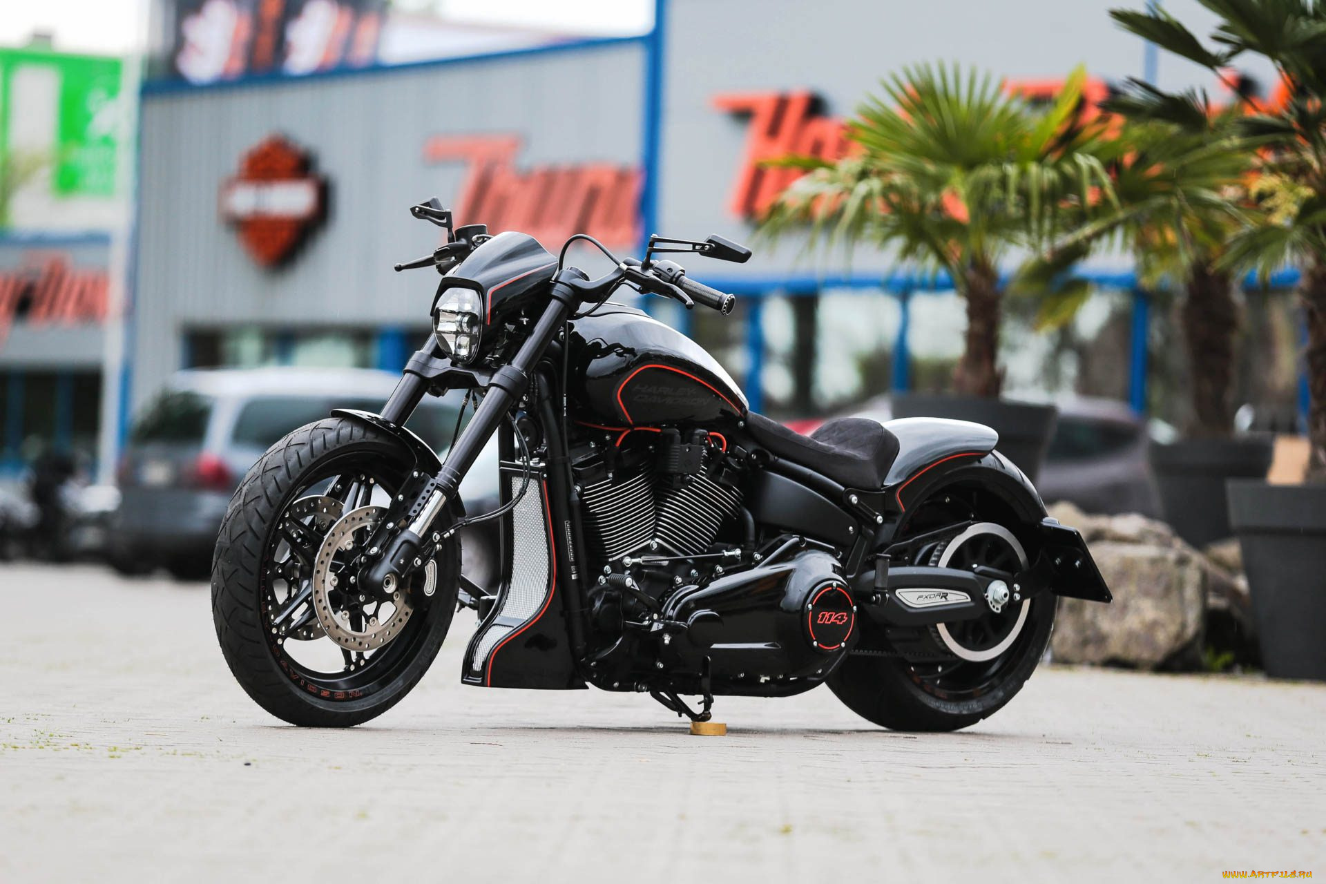 харлей, мотоциклы, harley-davidson, мотоцикл, байк