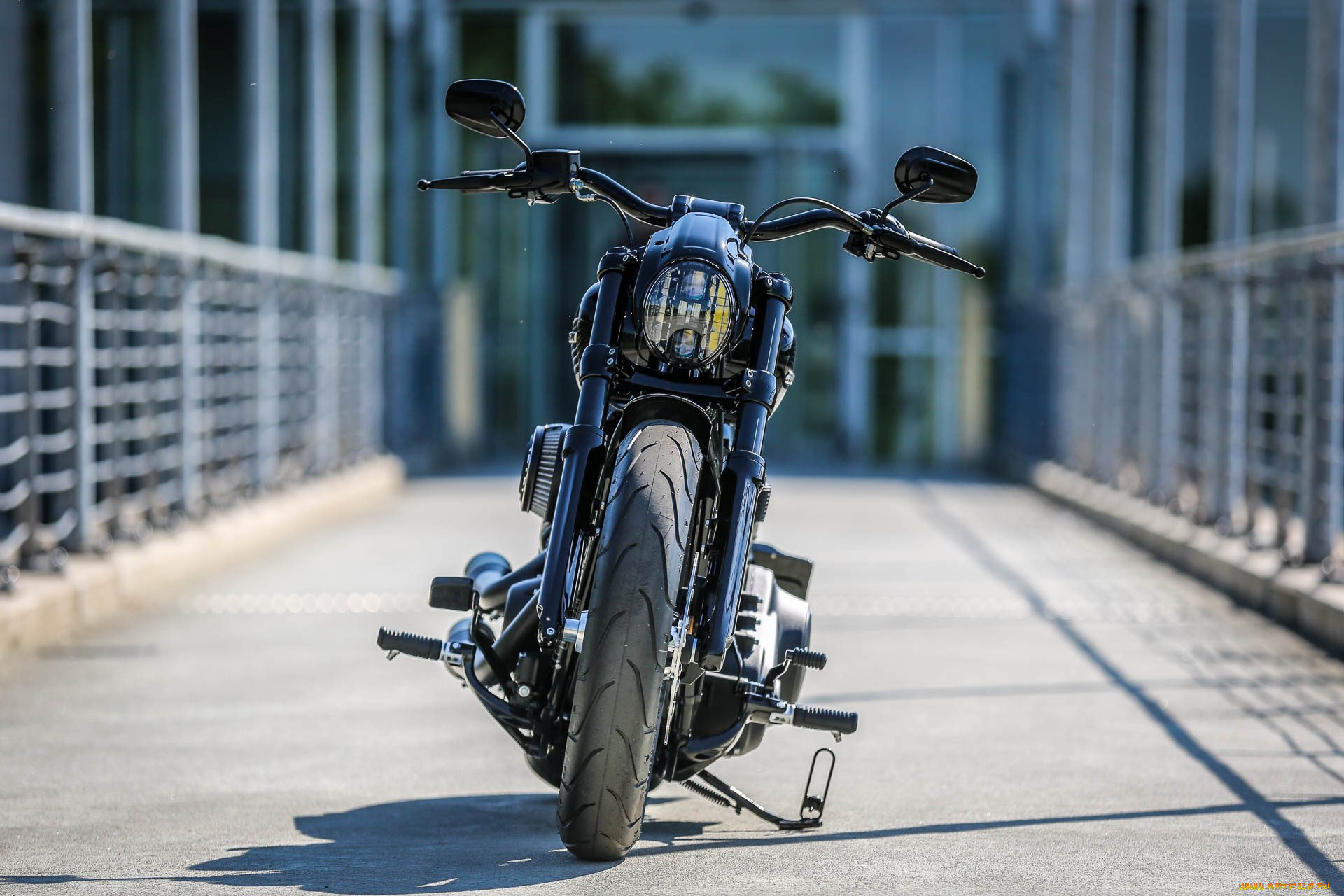 harley, мотоциклы, harley-davidson, мотоцикл, байк