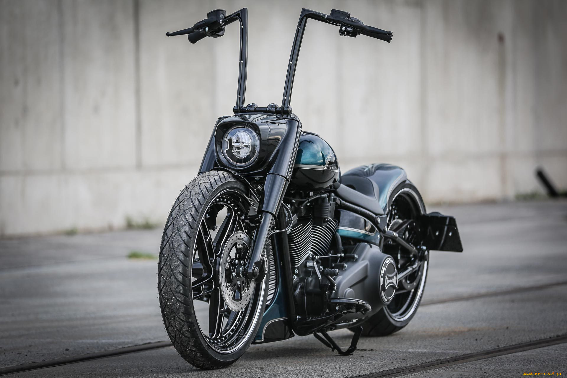 harley, мотоциклы, harley-davidson, мотоцикл, байк