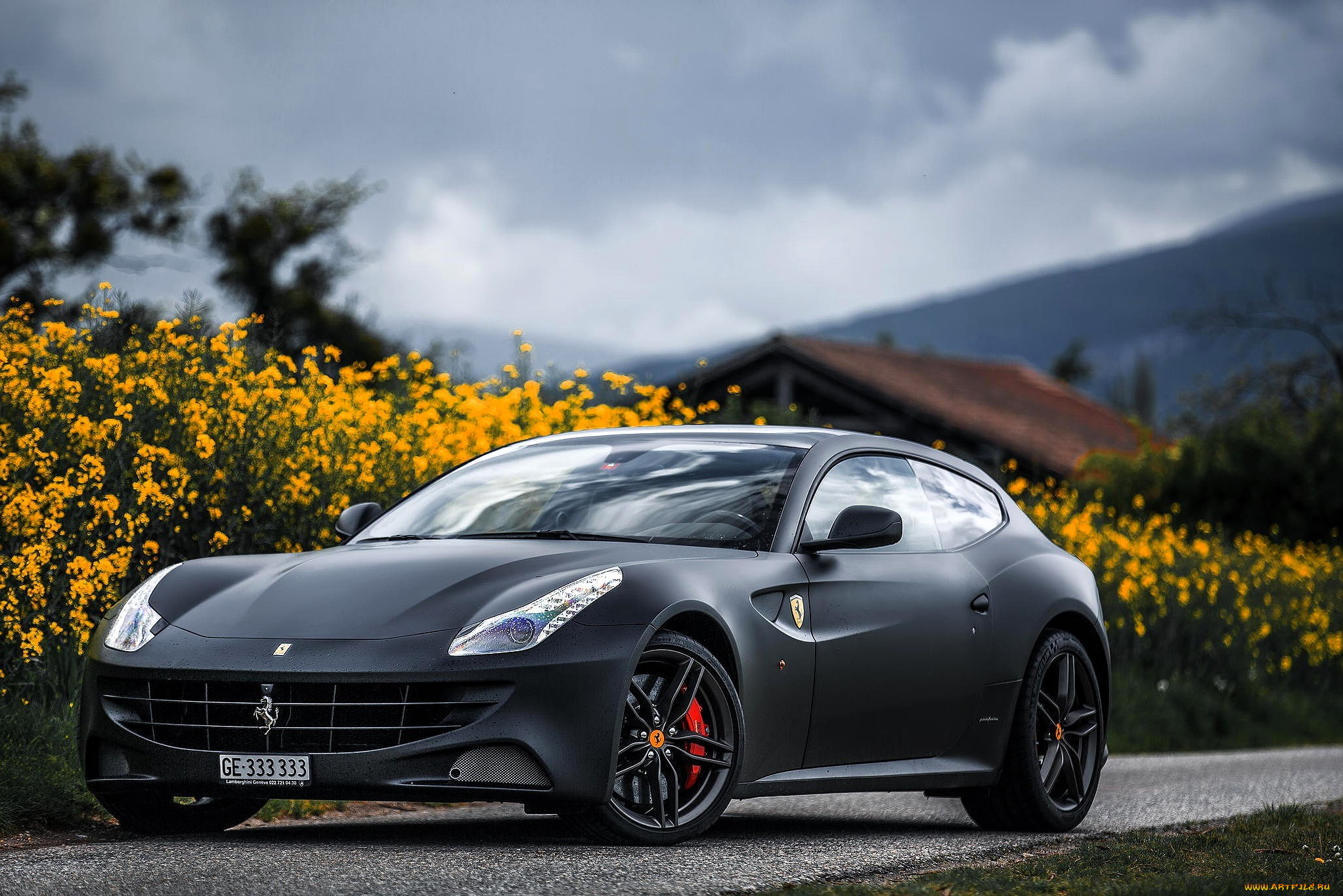 ferrari, ff, автомобили, ferrari, серый, дорожка, цветы, дом