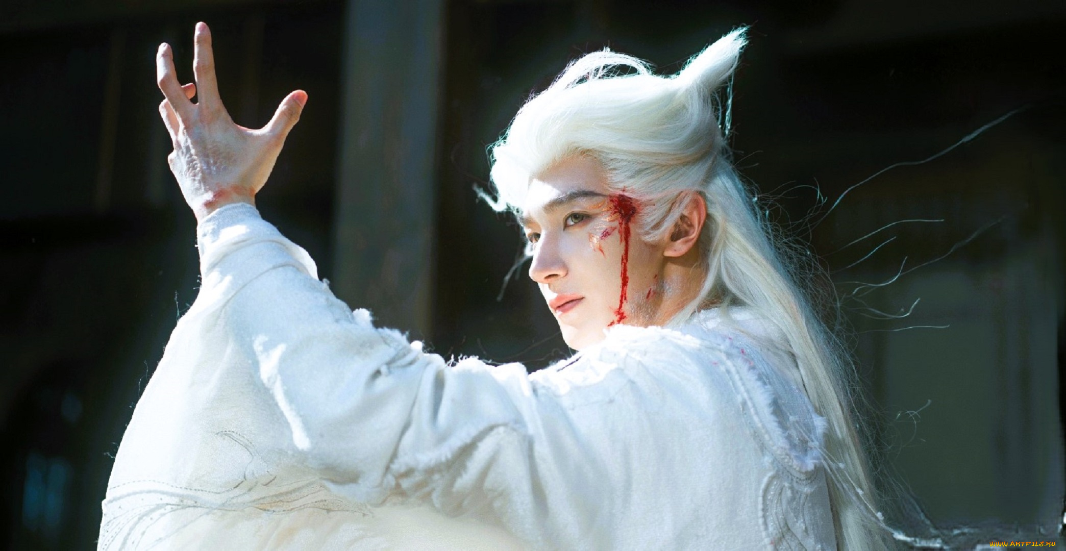 veil, of, shadows, кино, фильмы, парень, магия, кровь