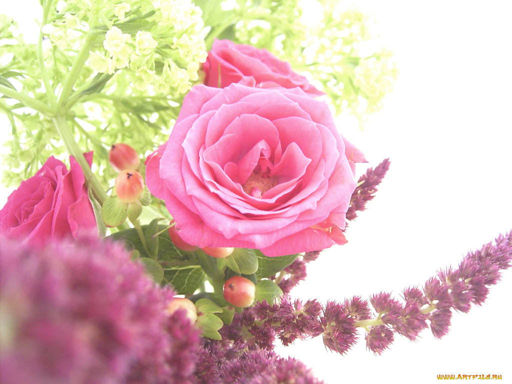 цветы, разные, вместе