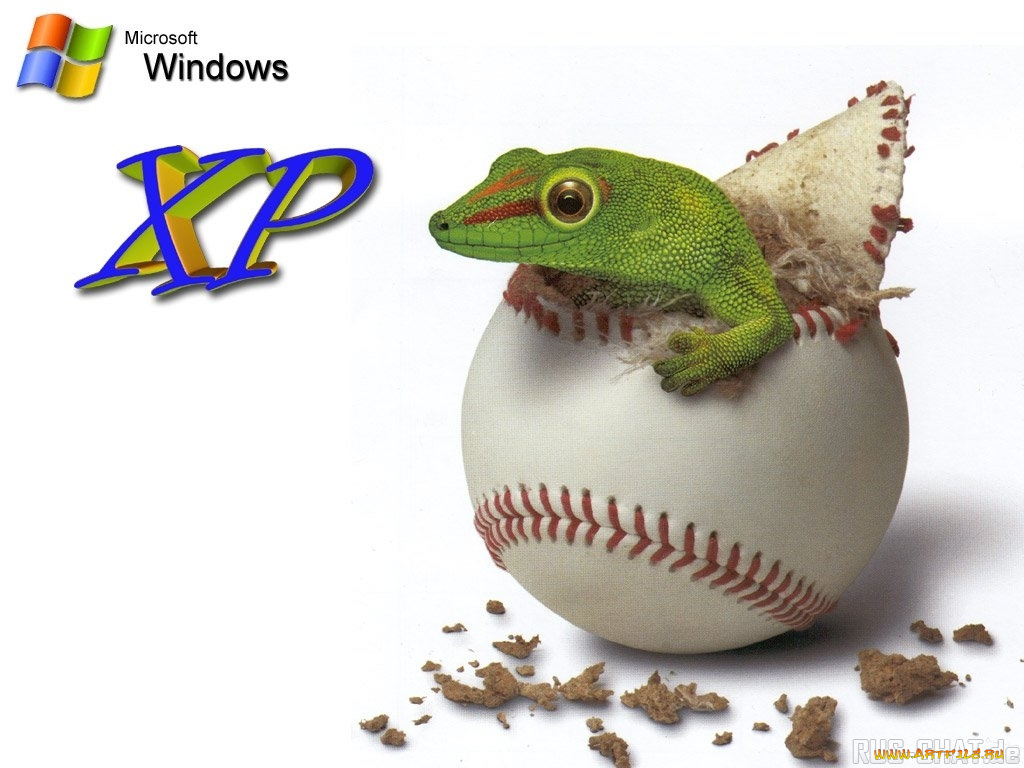 компьютеры, windows, xp