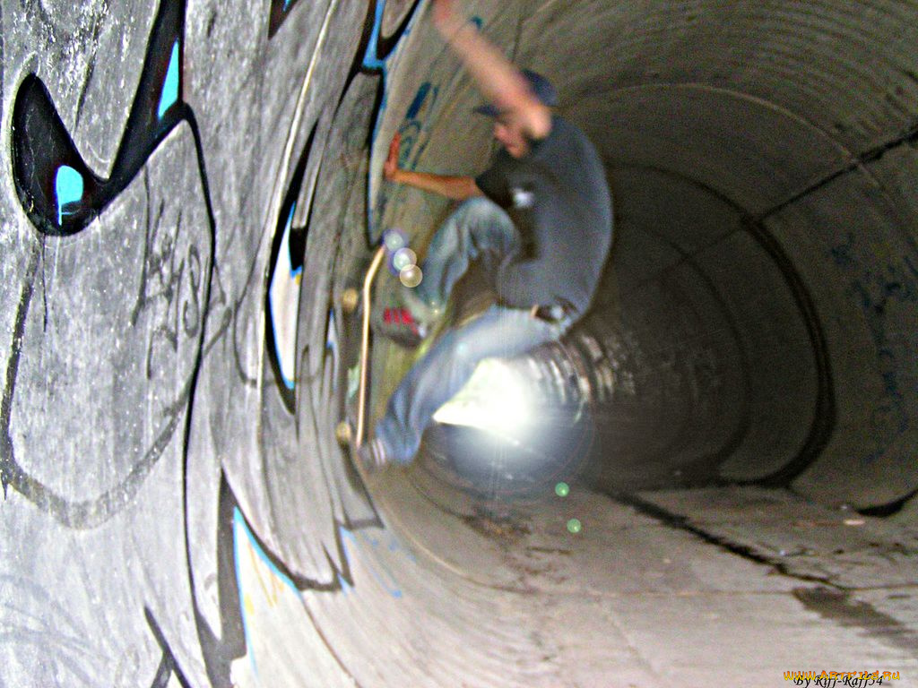 спорт, скейтборд