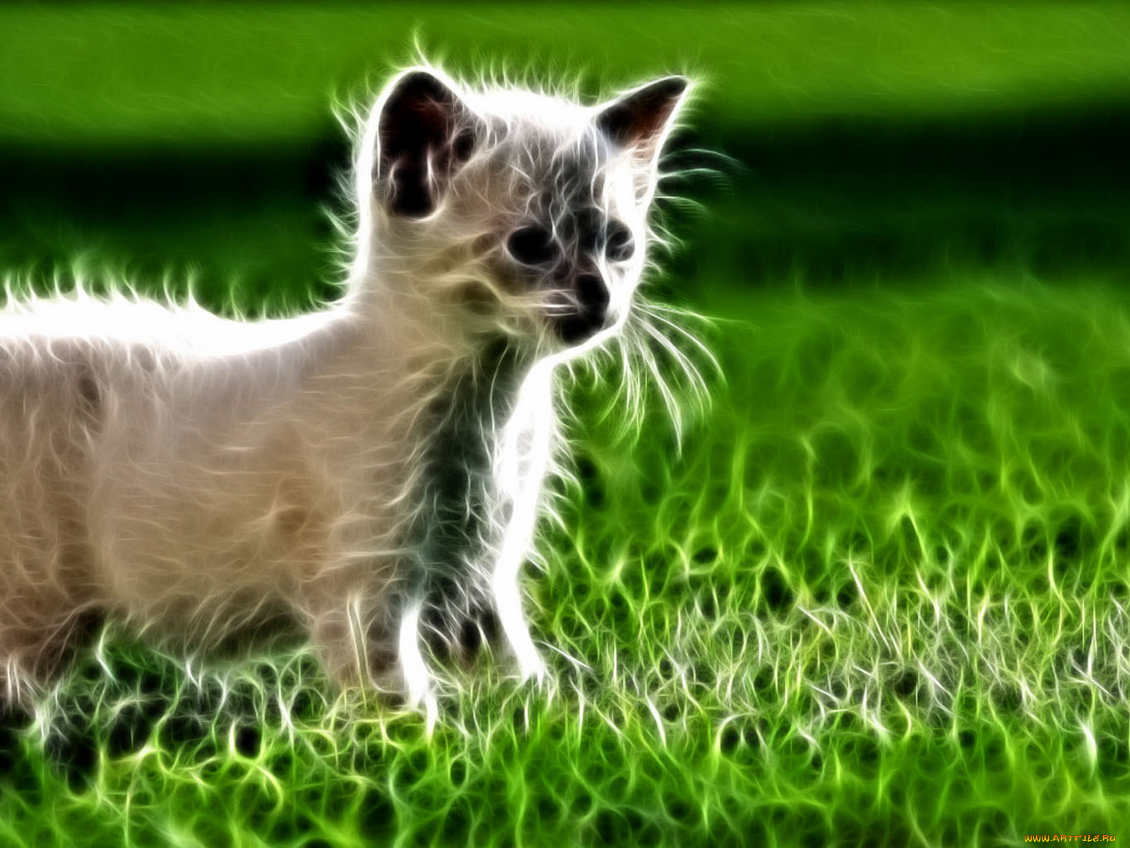 рисованные, животные