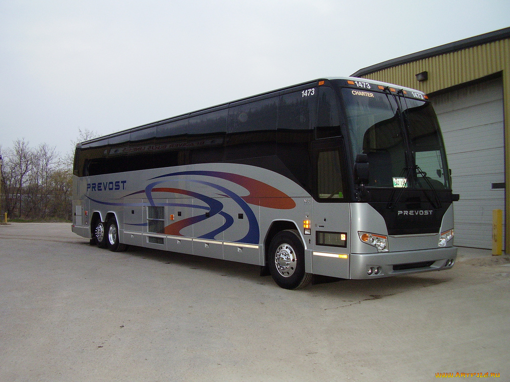 автомобили, автобусы