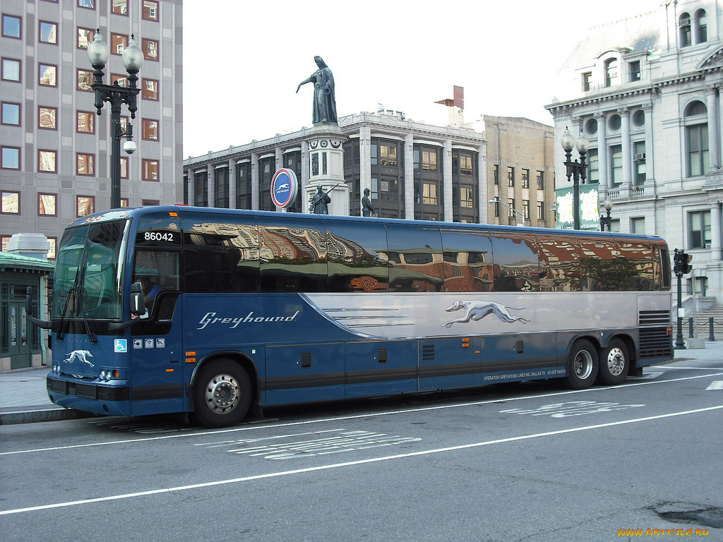 автомобили, автобусы