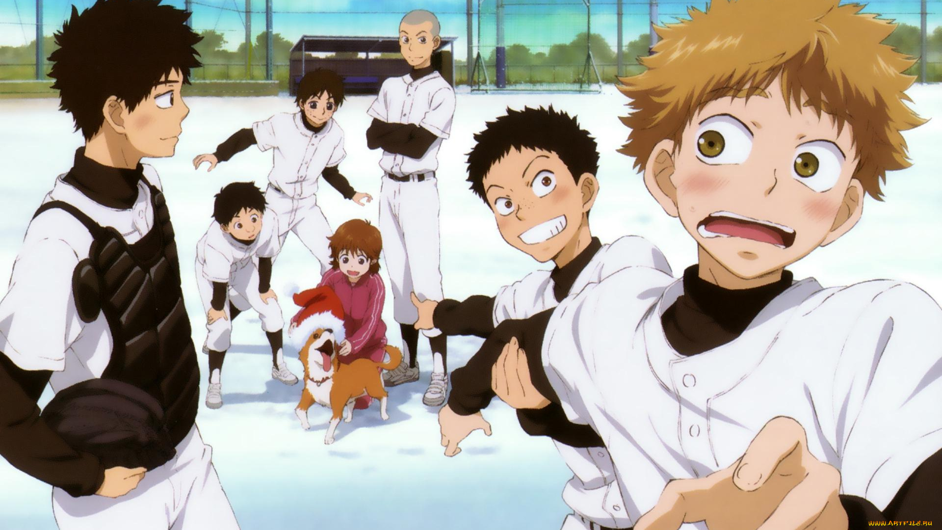 ookiku, furikabutte, аниме