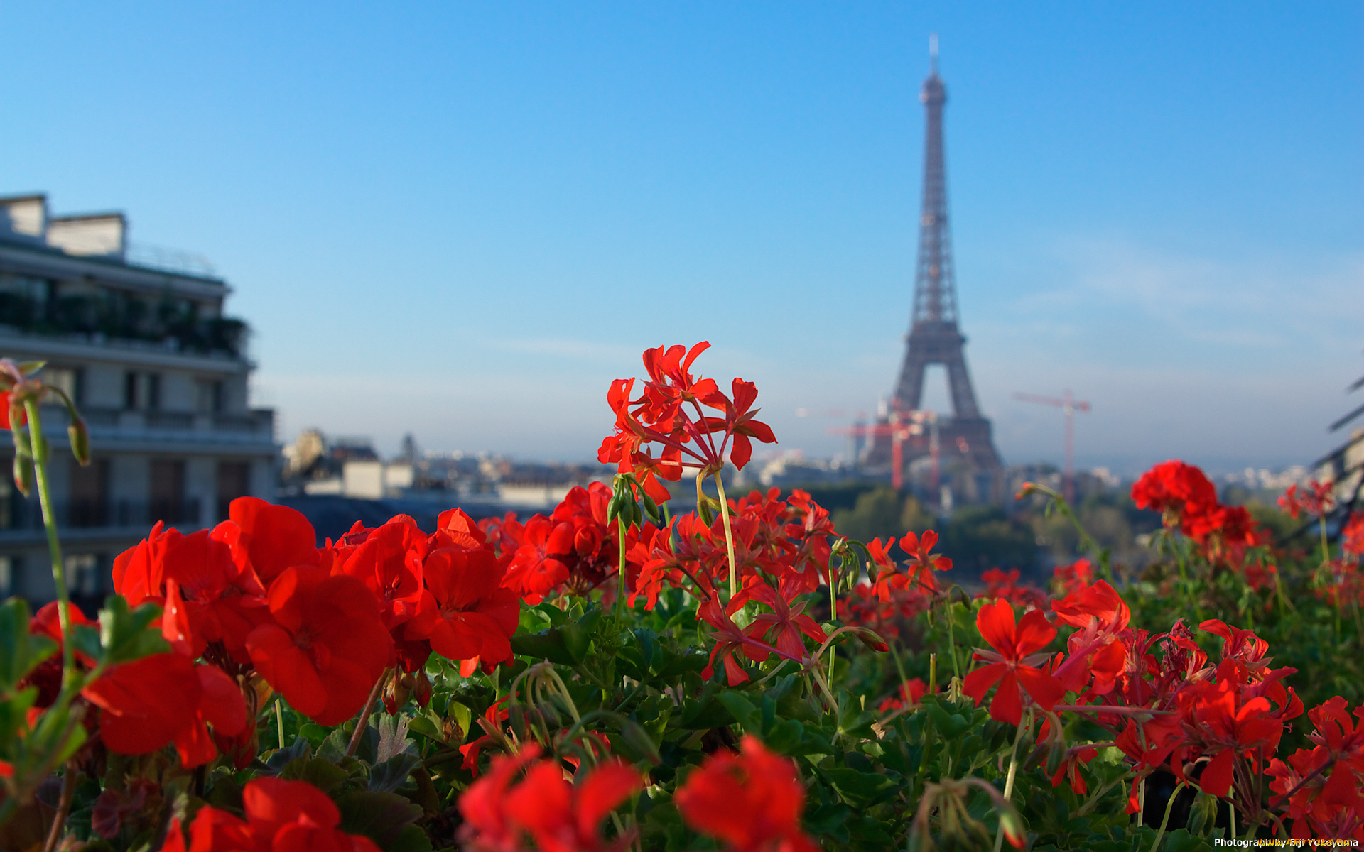 города, париж, франция