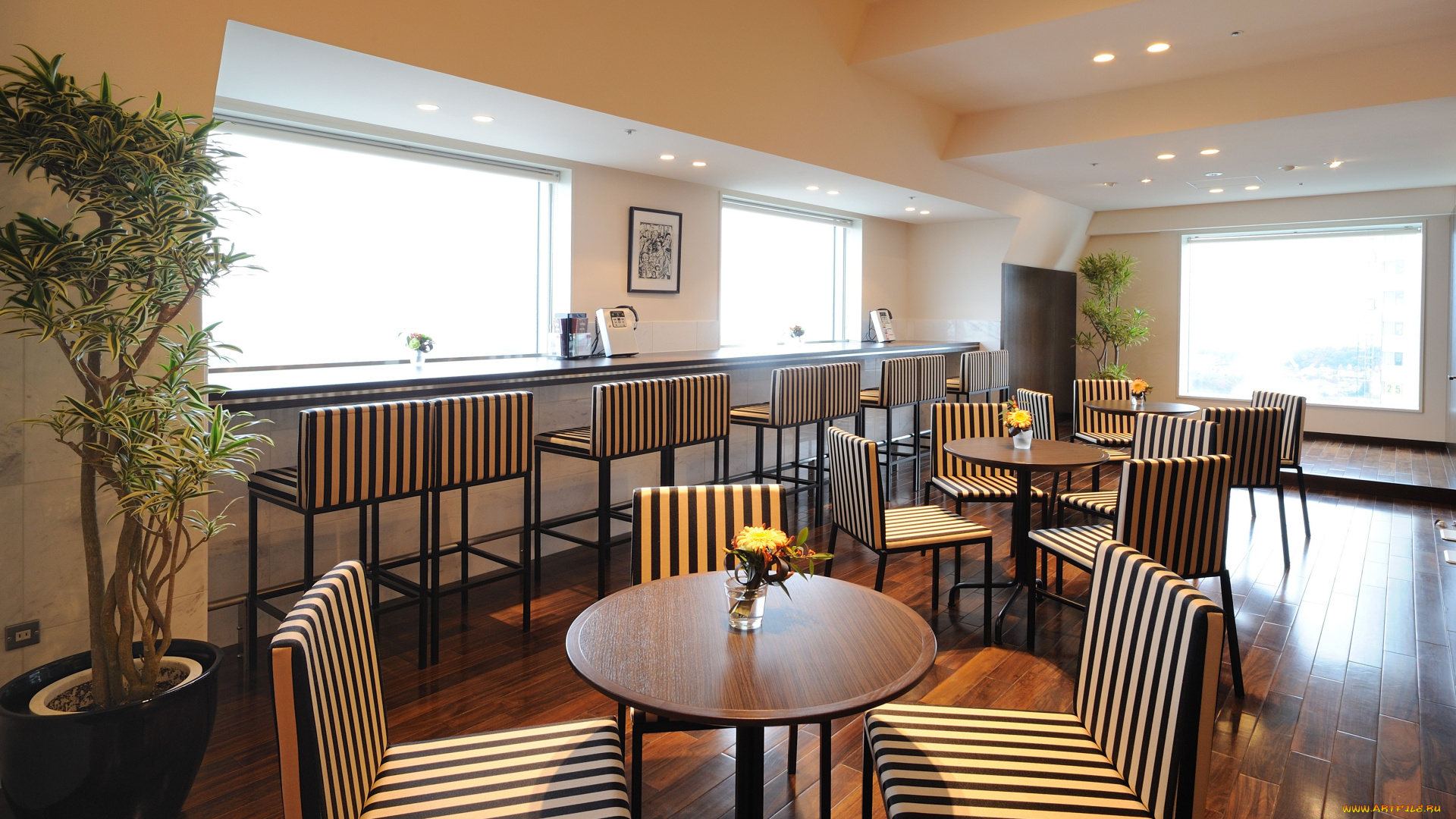 интерьер, кафе, рестораны, отели, отель