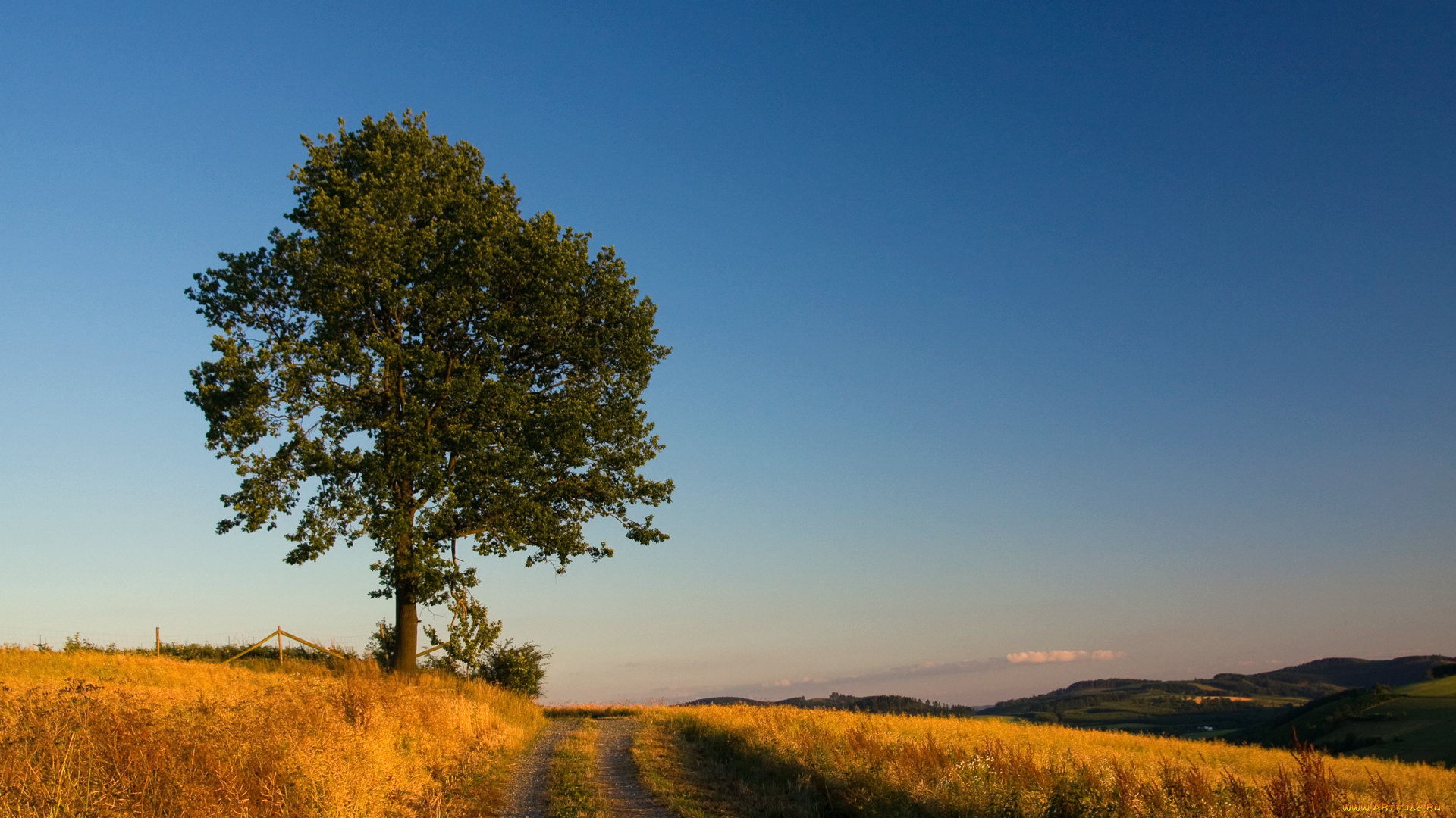 природа, дороги